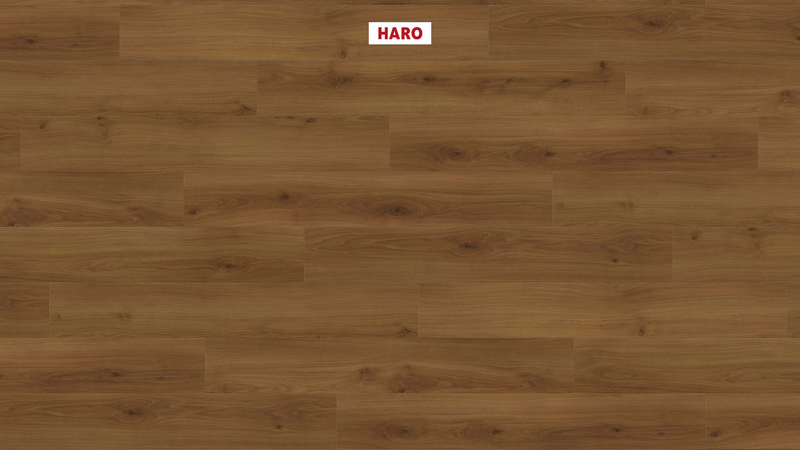 HARO Laminate Floor TRITTY 200 Aqua Plank 1-Strip 4V Oak Emilia Amber* authentic soft Top Connect