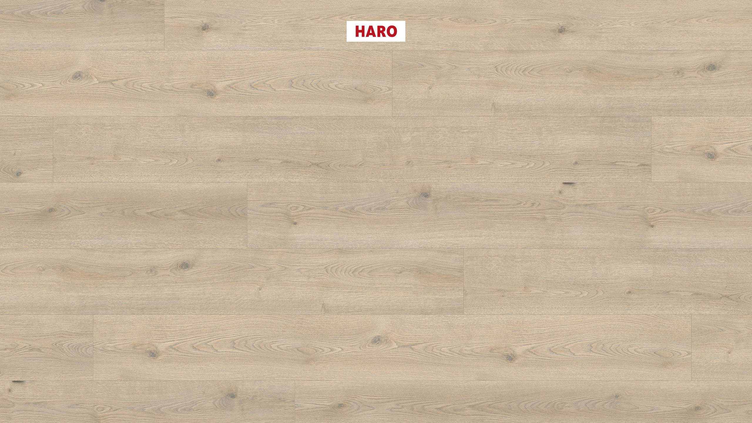 HARO Laminate Floor TRITTY 200 Aqua Gran Via 4V Oak Contura Stone Grey* authentic Top Connect