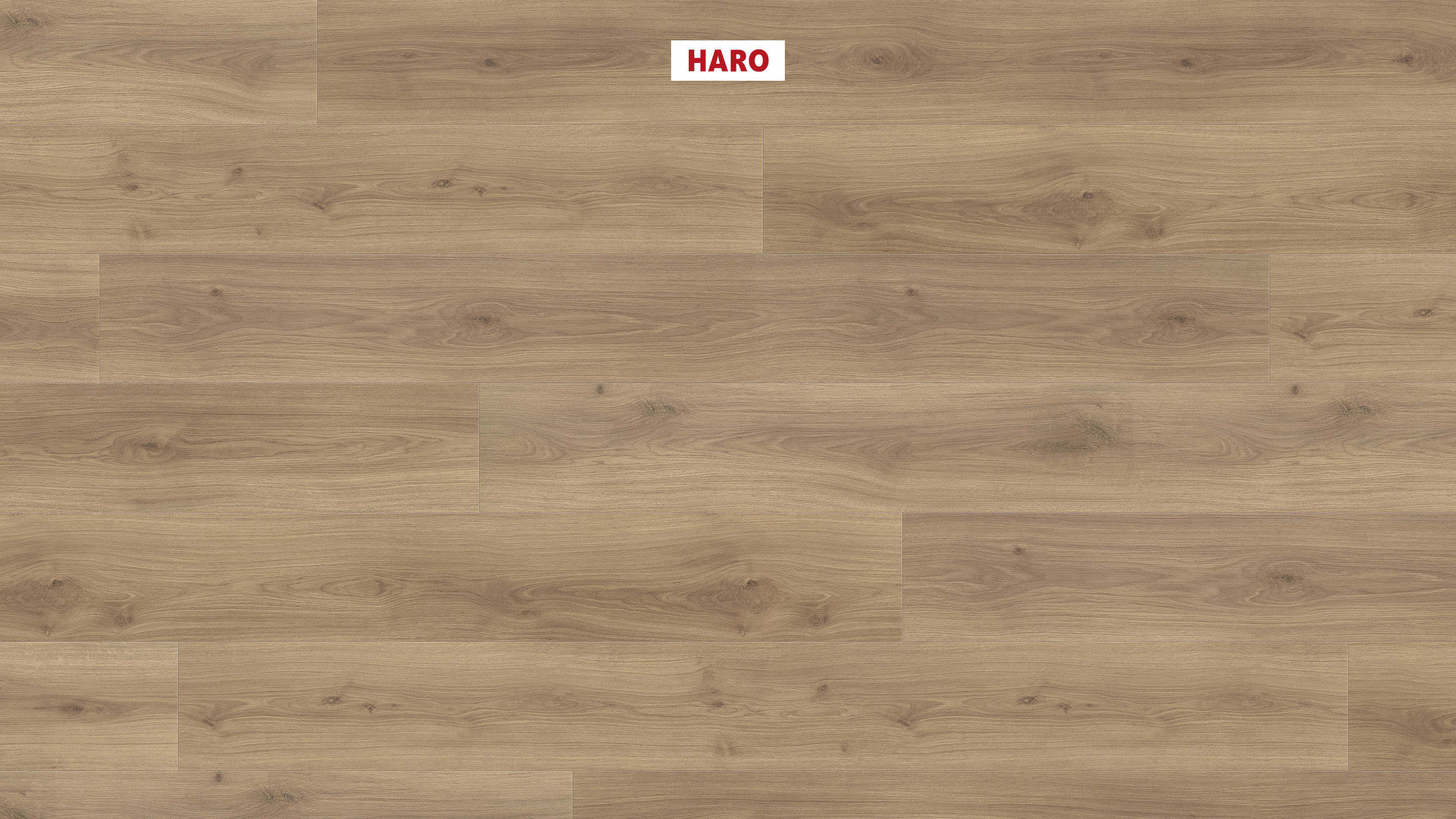 HARO Laminate Floor TRITTY 200 Aqua Gran Via 4V Oak Emilia Puro* authentic soft Silent Pro Top Connect