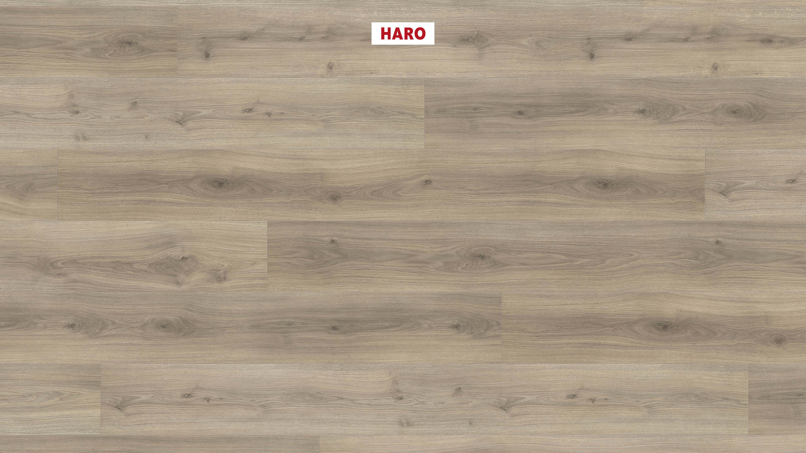 HARO Laminate Floor TRITTY 200 Aqua Gran Via 4V Oak Emilia Velvet Grey* authentic soft Silent CT Top Connect