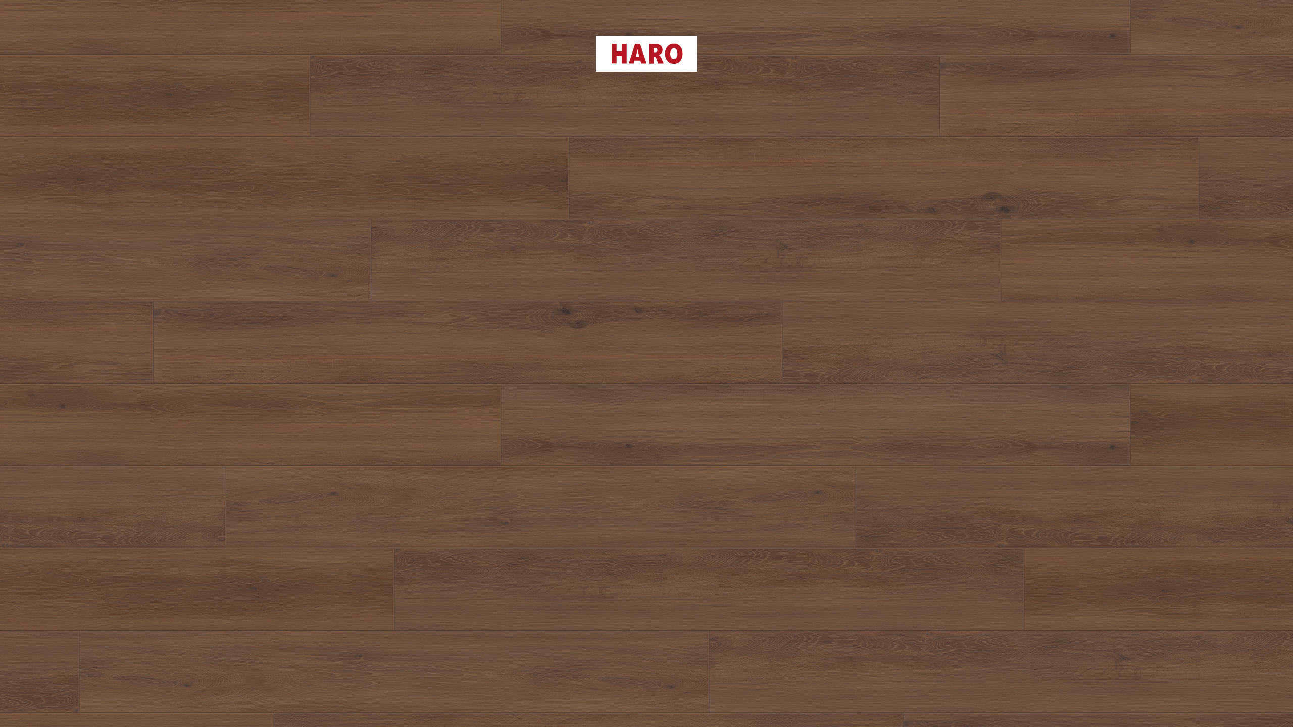 DISANO by HARO LifeAqua Plank 1-Strip XL 4V Oak Cambridge* textured Top Connect