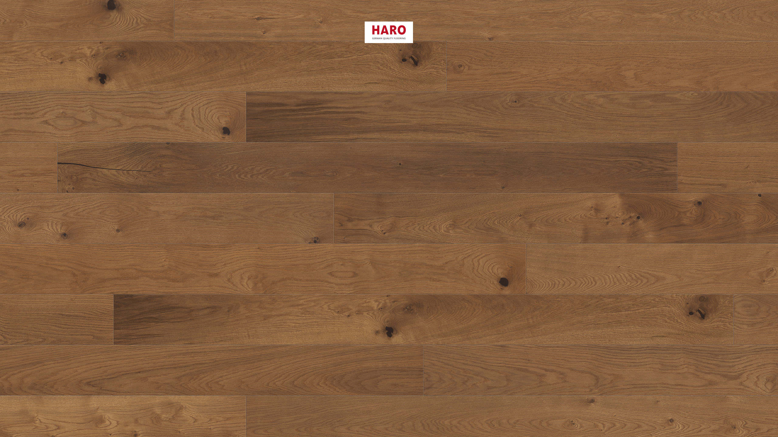 HARO PARQUET 4000 Plank 1-Strip Maxim 4V Amber Oak Sauvage brushed naturaLin plus Tongue and Groove