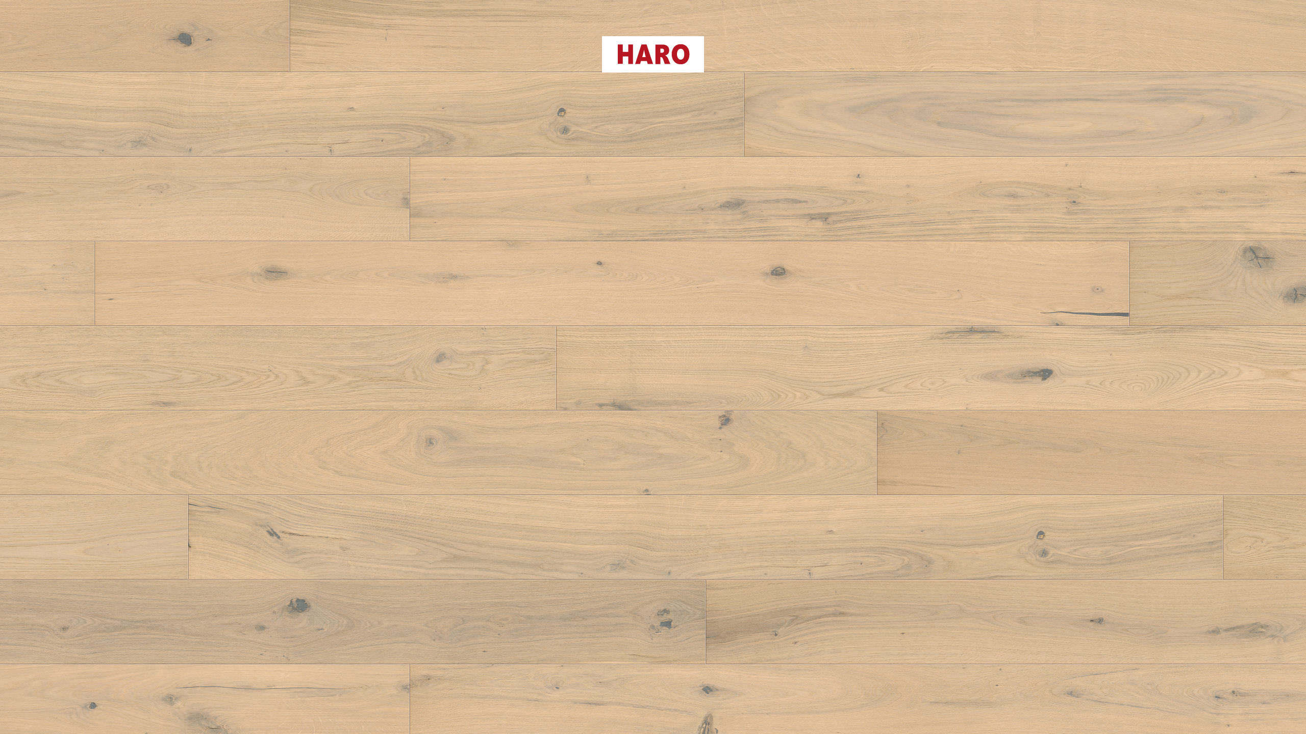 HARO PARQUET 4000 Plank 1-Strip Maxim 4V Oak Light White Sauvage brushed naturaDur Tongue and Groove