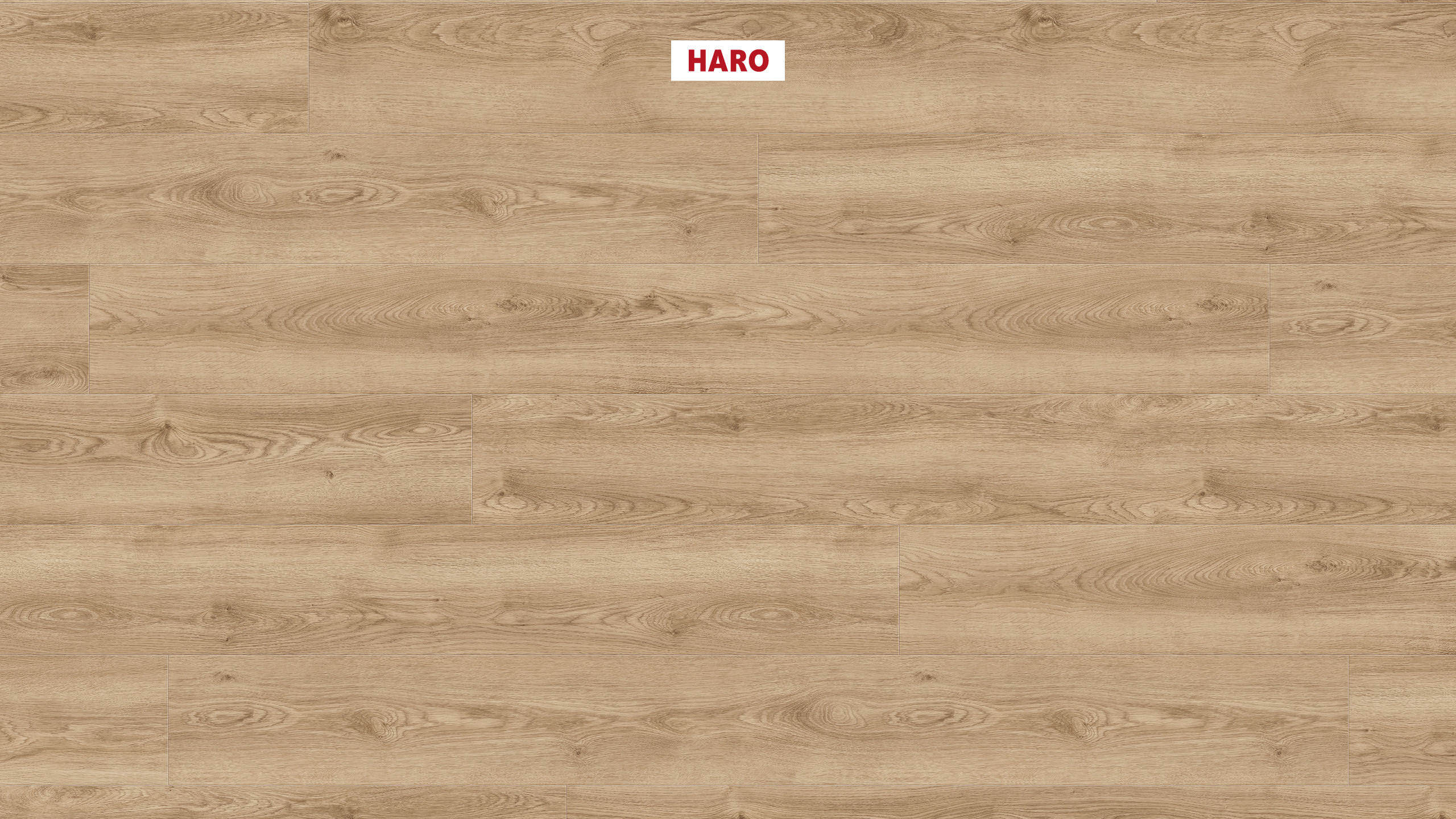 DISANO by HARO WaveAqua Plank 1-Strip XL 4V Oak Victoria Puro* authentic Top Connect