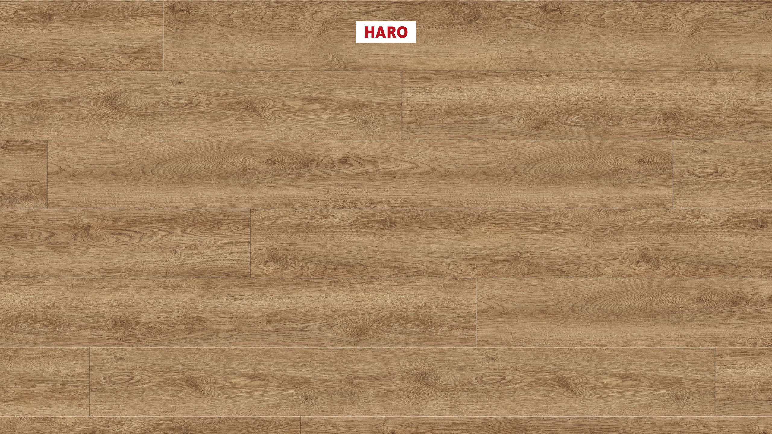 DISANO by HARO WaveAqua Plank 1-Strip XL 4V Oak Victoria Honey* authentic Top Connect