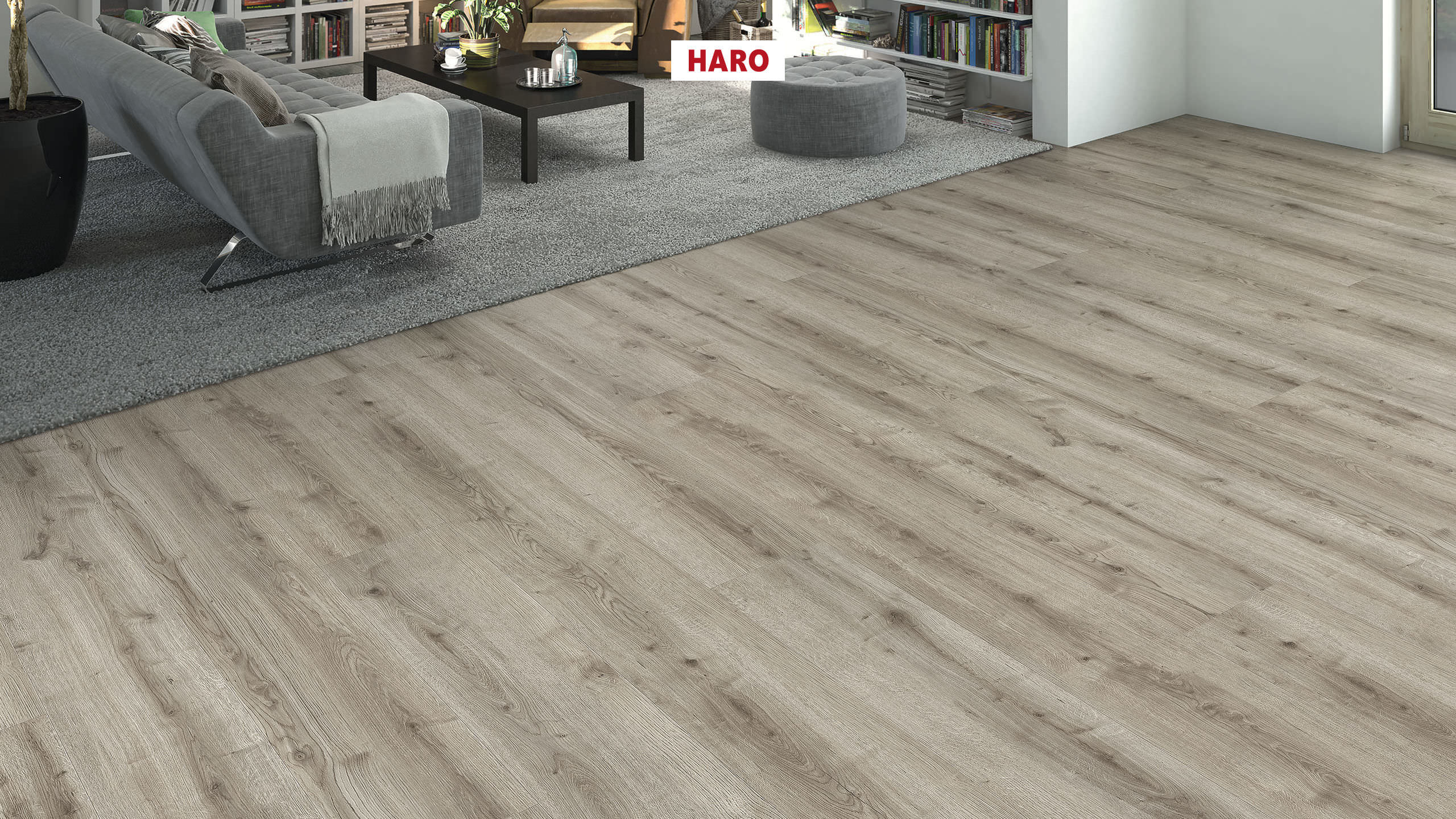 DISANO by HARO WaveAqua Plank 1-Strip XL 4V Oak Ontario Grey* authentic Top Connect