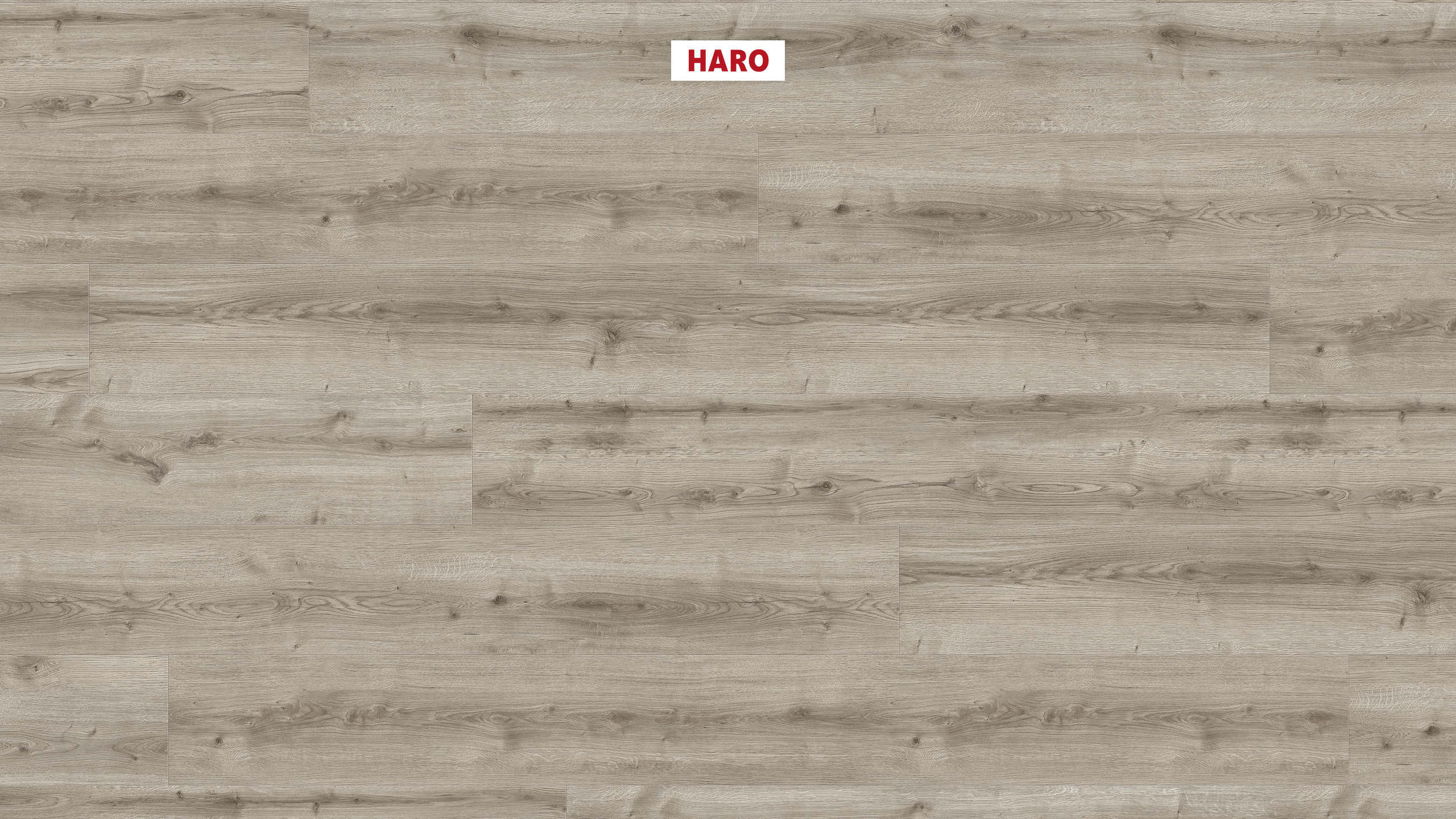 DISANO by HARO WaveAqua Plank 1-Strip XL 4V Oak Ontario Grey* authentic Top Connect