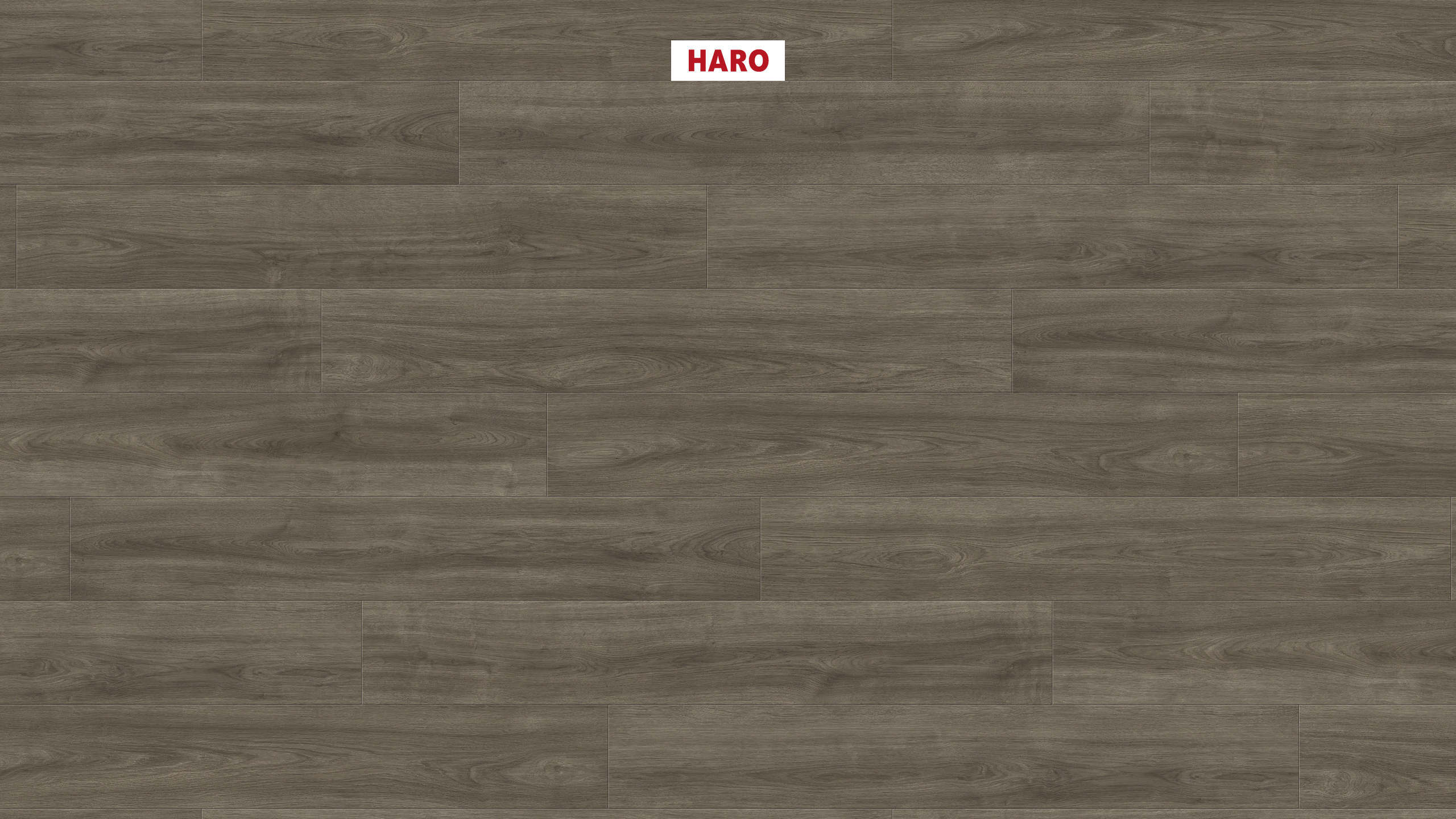 HARO Laminate Floor TRITTY 100 Plank 1-Strip 4V Oak Eleganza Antique Grey* authentic Silent CT Top Connect