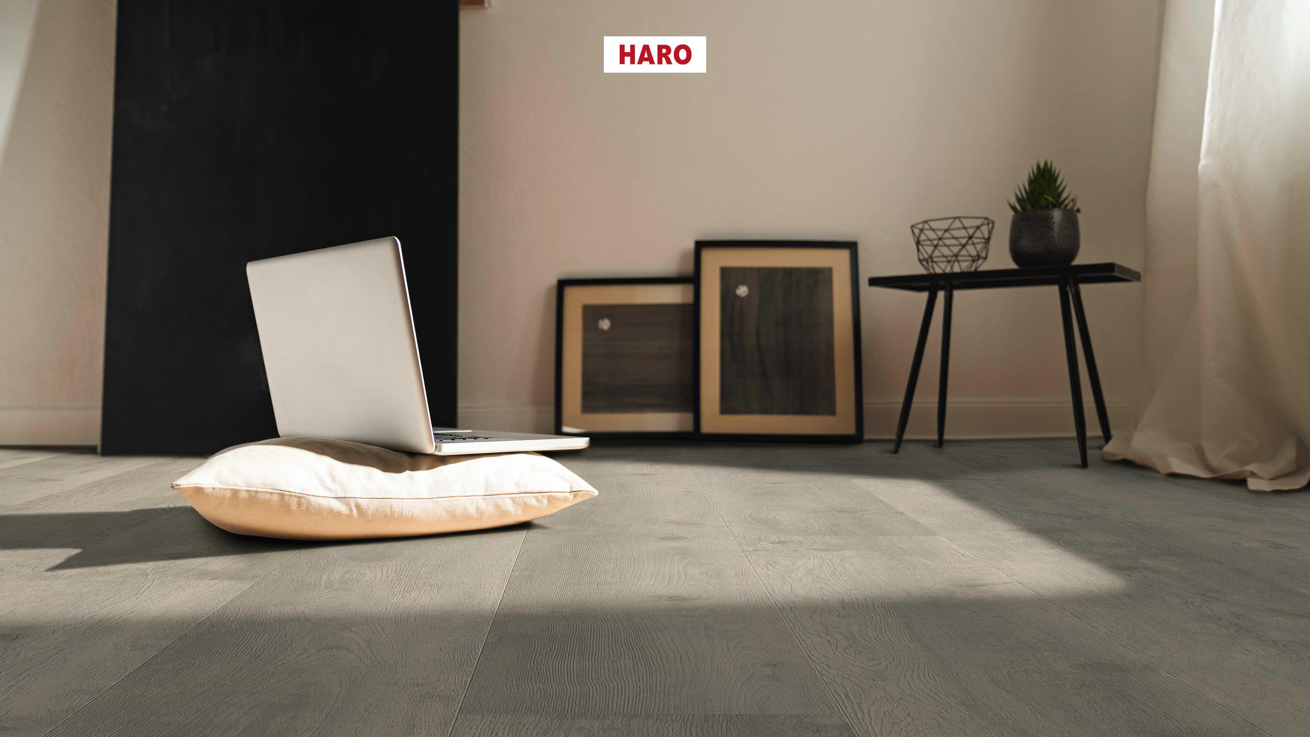 HARO Laminate Floor TRITTY 100 Gran Via 4V Oak Bergamo Silver Grey* authentic soft Silent Pro Top Connect