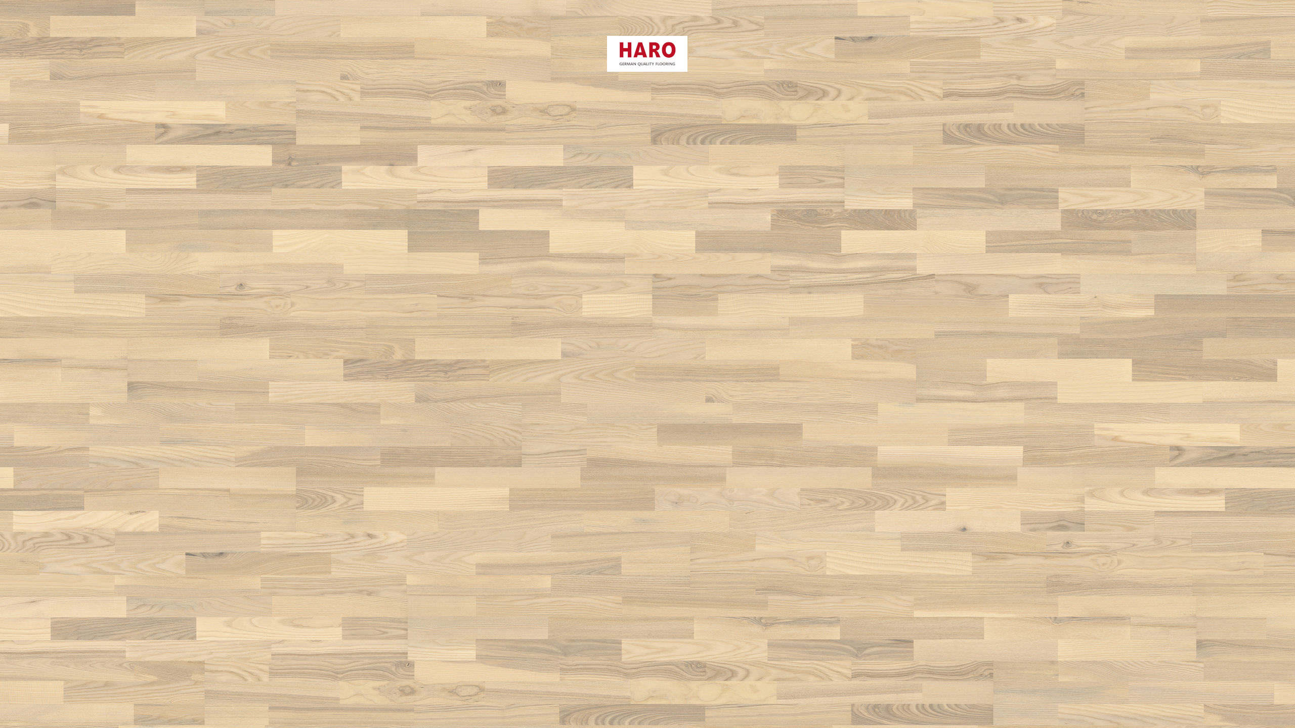 HARO PARQUET 4000 Longstrip Ash Light White Favorit brushed naturaDur Top Connect