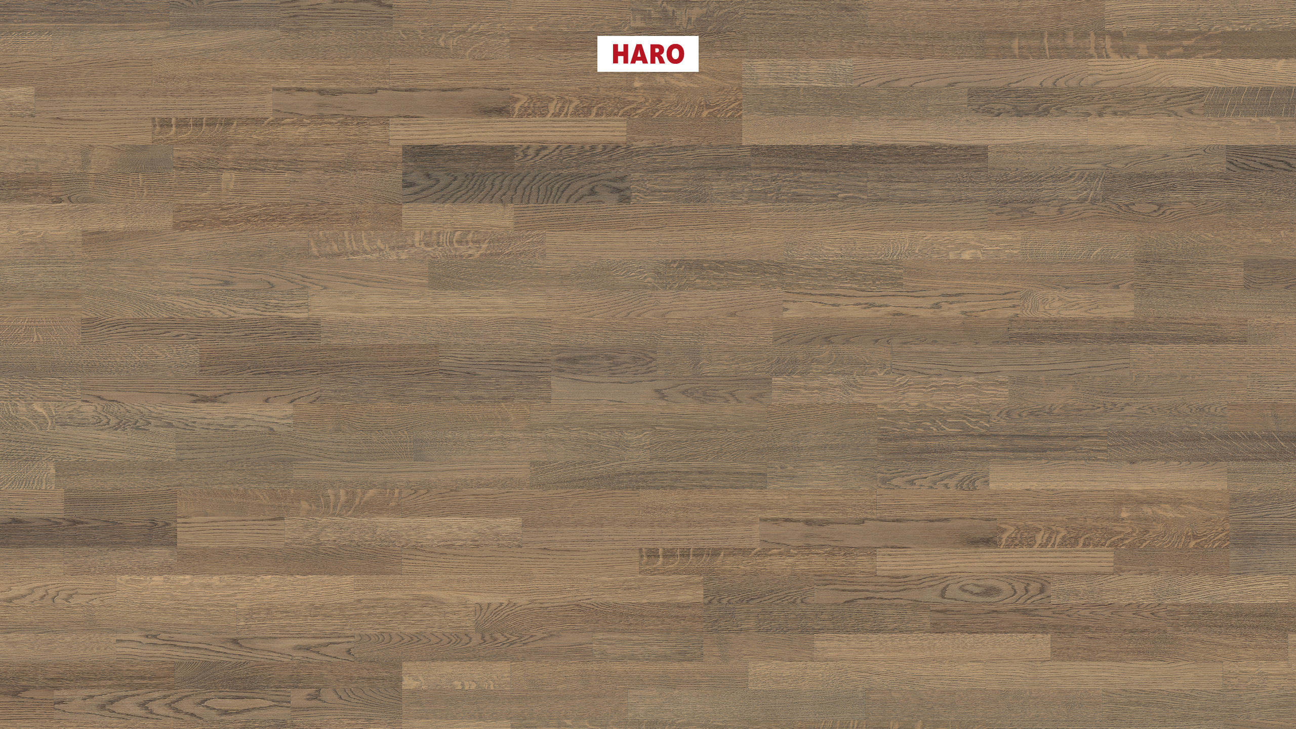 HARO PARQUET 4000 Longstrip Oak Tobacco Grey Trend brushed naturaLin plus Top Connect