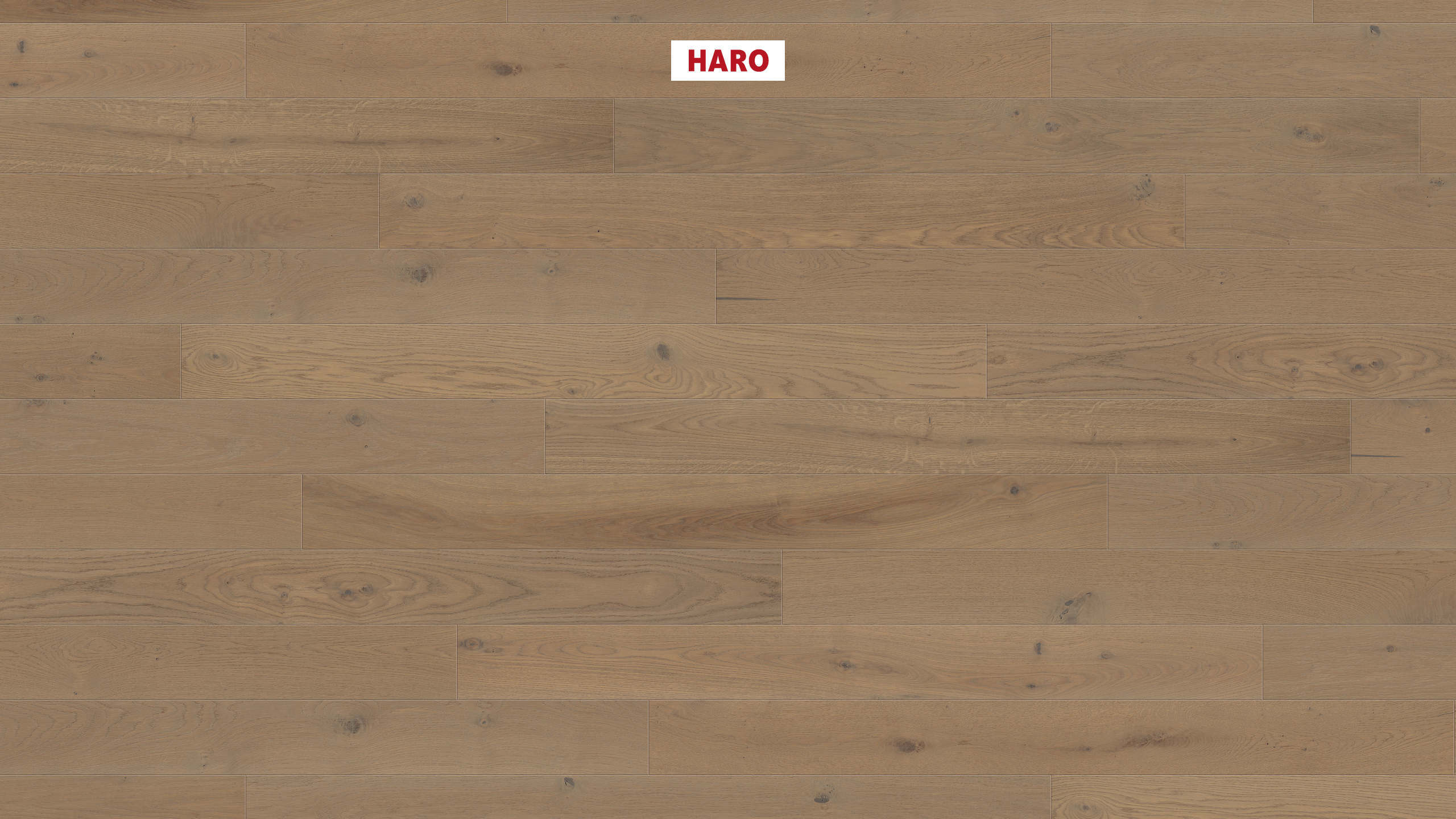 HARO PARQUET 4000 Plank 1-Strip Duna 4V Oak Sand Grey Sauvage brushed naturaLin plus Tongue and Groove