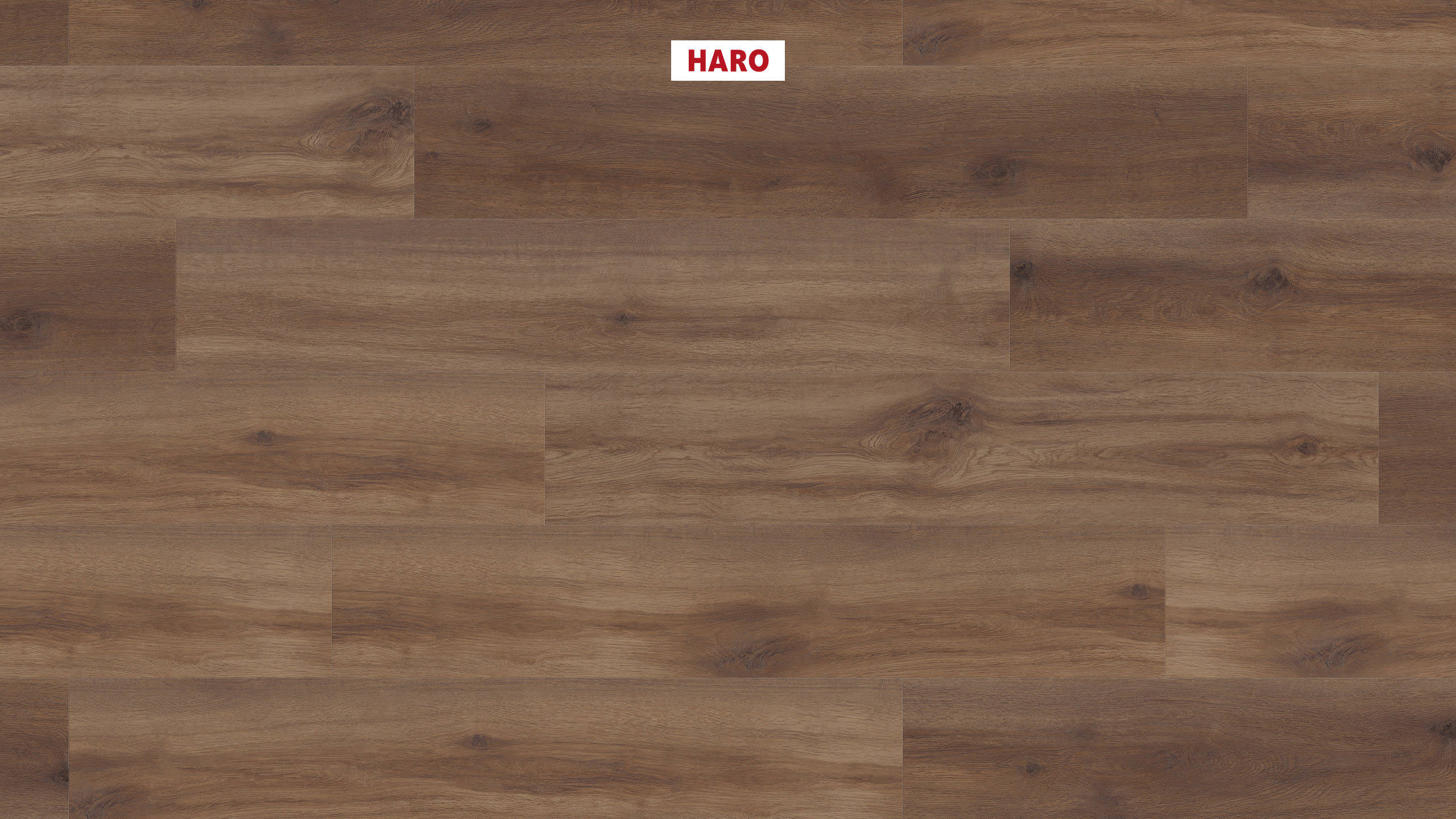 DISANO by HARO Saphir Plank 1-Strip 4VM Oak Provence Smoked* authentic Top Connect