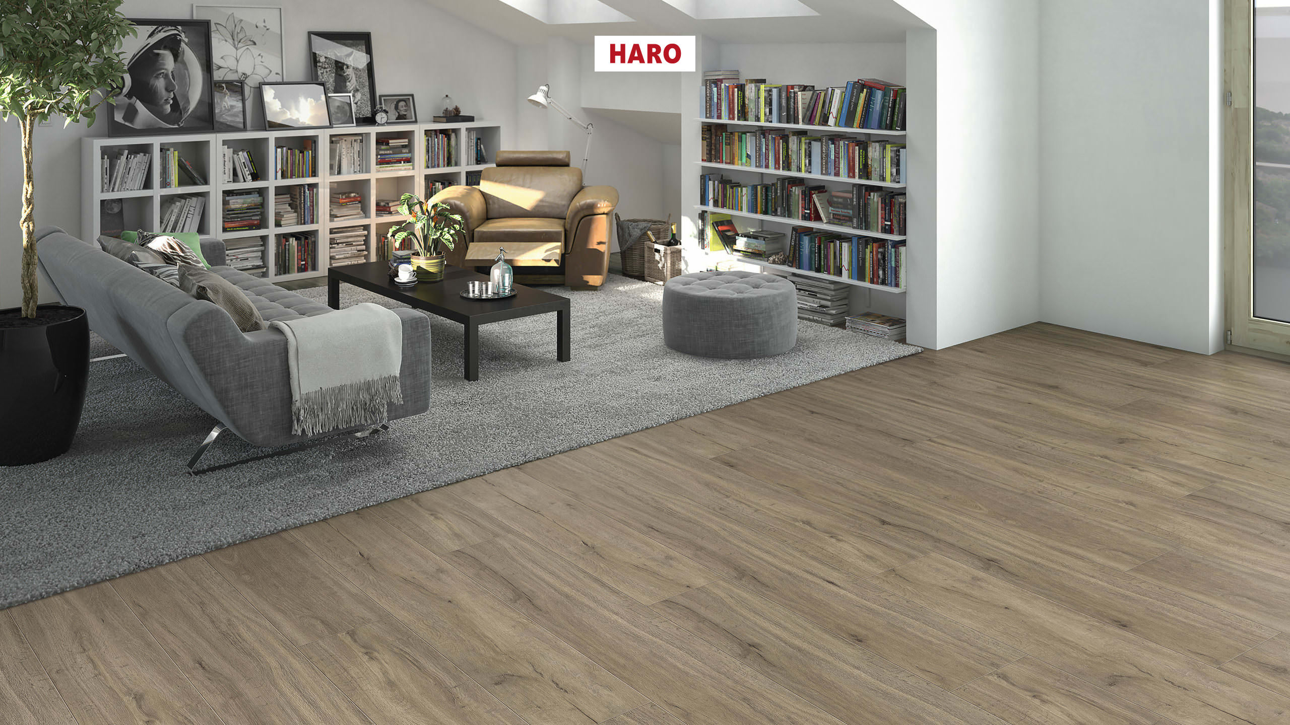 DISANO by HARO LifeAqua Plank 1-Strip 4V Oak Columbia Grey* textured Top Connect