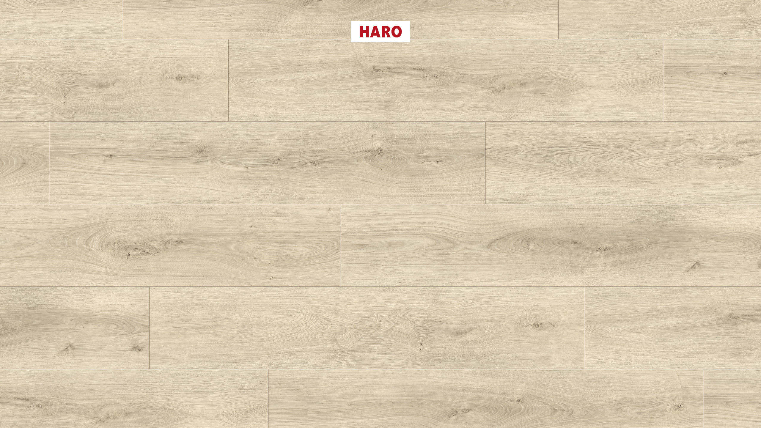 DISANO by HARO LifeAqua Plank 1-Strip 4V Oak Sheffield Creme White* authentic Top Connect