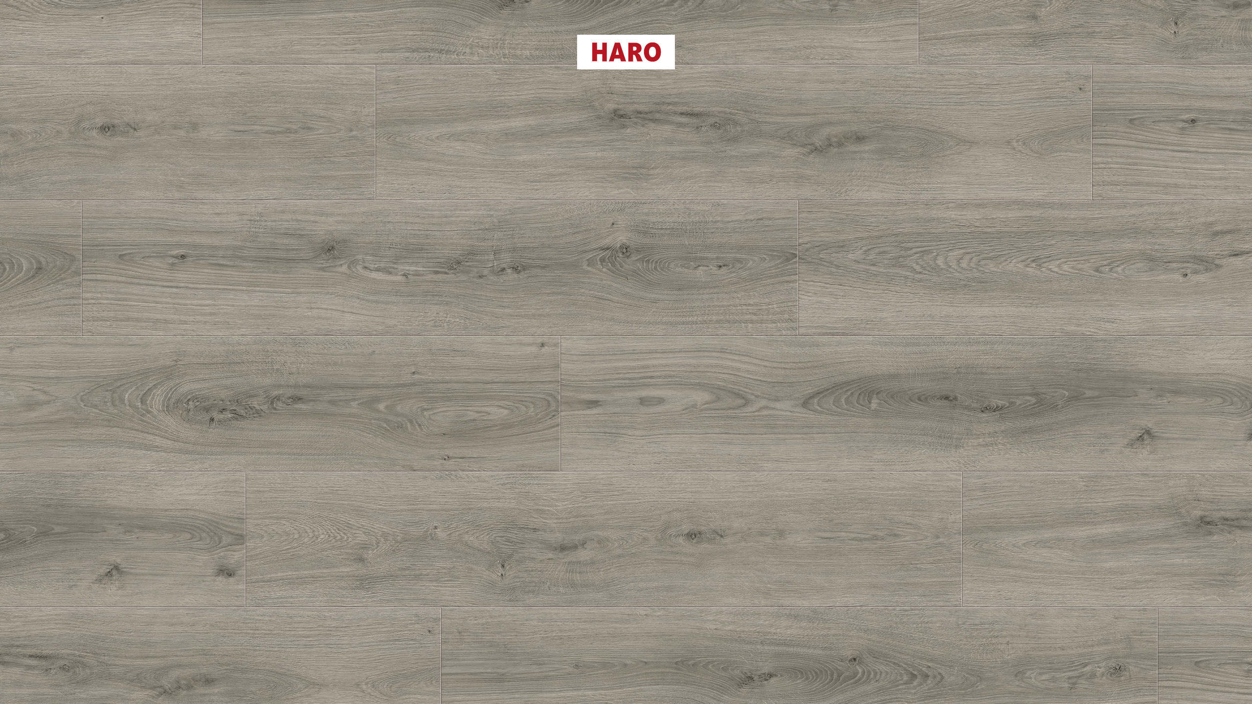 DISANO by HARO LifeAqua Plank 1-Strip 4V Oak Sheffield Grey* authentic Top Connect
