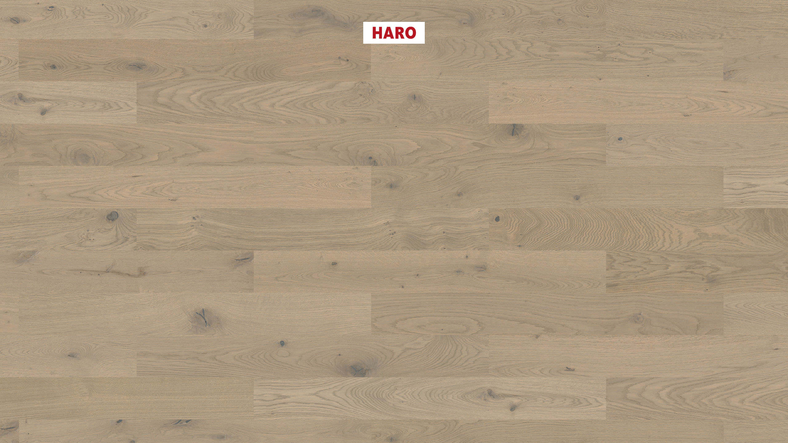 HARO PARQUET 4000 Plank 1-Strip Prestige Oak Sand Grey Sauvage brushed naturaDur Tongue and Groove