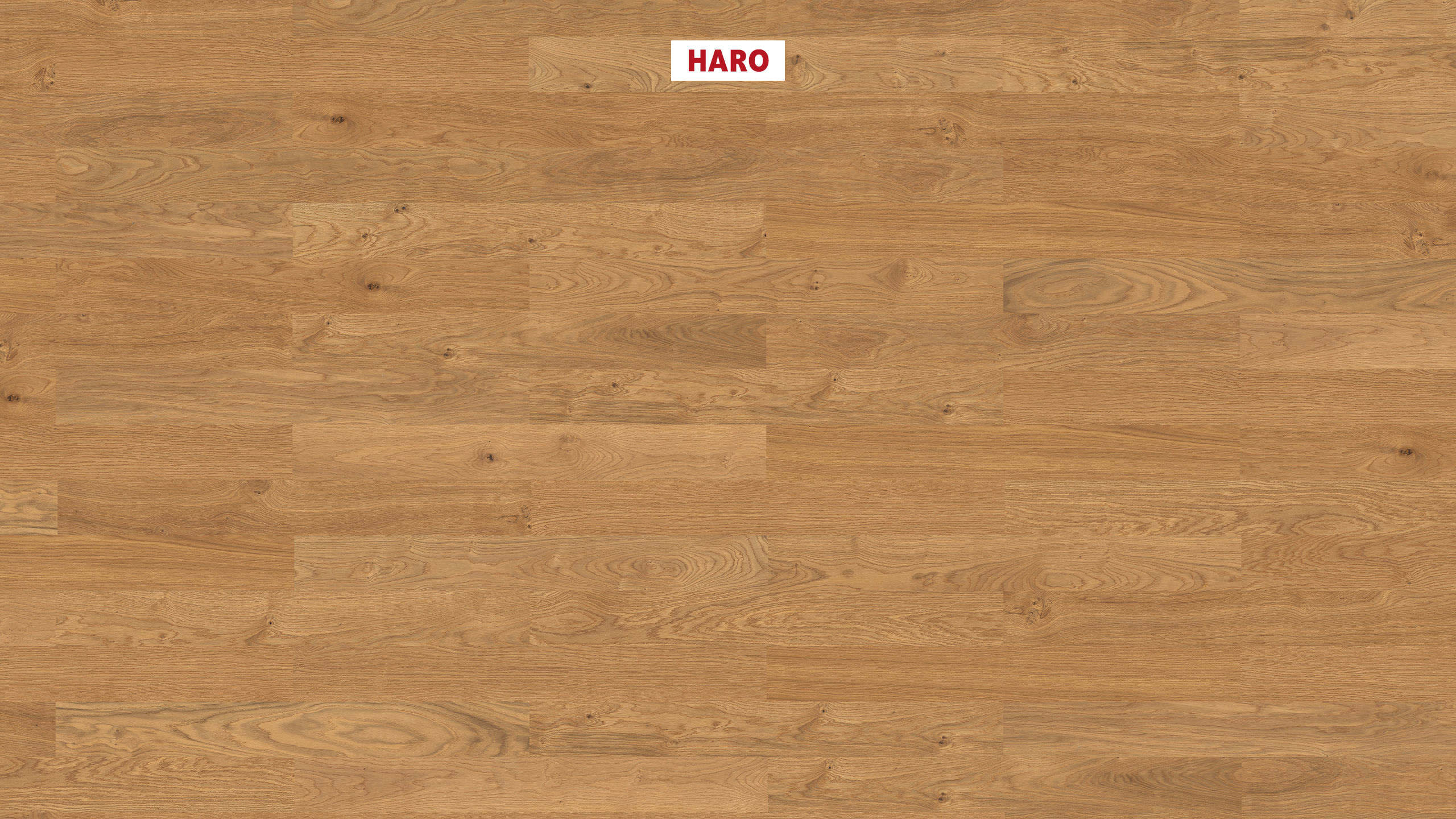 HARO PARQUET 4000 Strip Classico Oak Trend brushed naturaDur Tongue and Groove