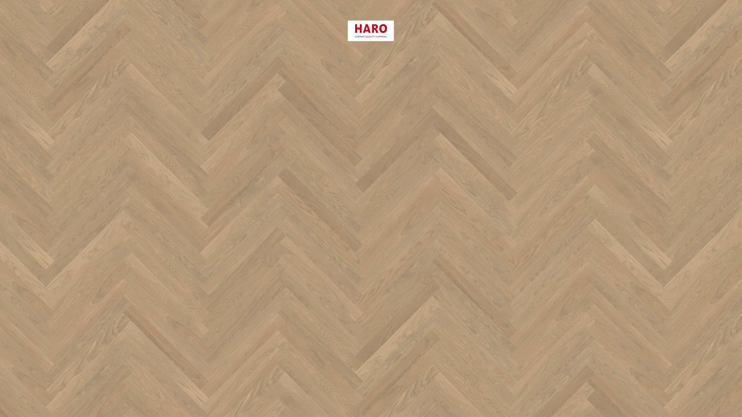 HARO PARQUET 4000 Strip Classico Oak Sand Grey Trend brushed naturaDur Tongue and Groove