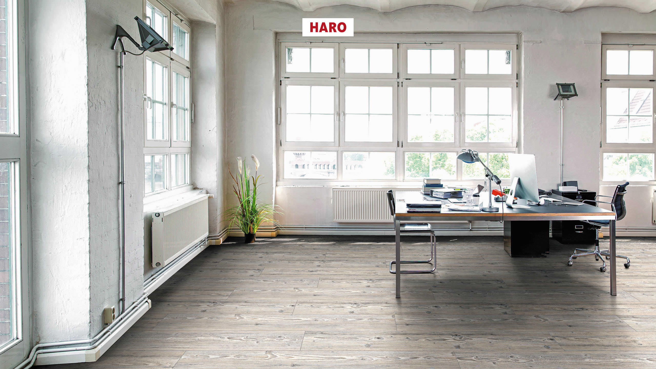 DISANO by HARO ClassicAqua Plank 1-Strip XL 4V Pine Nordica* textured Top Connect