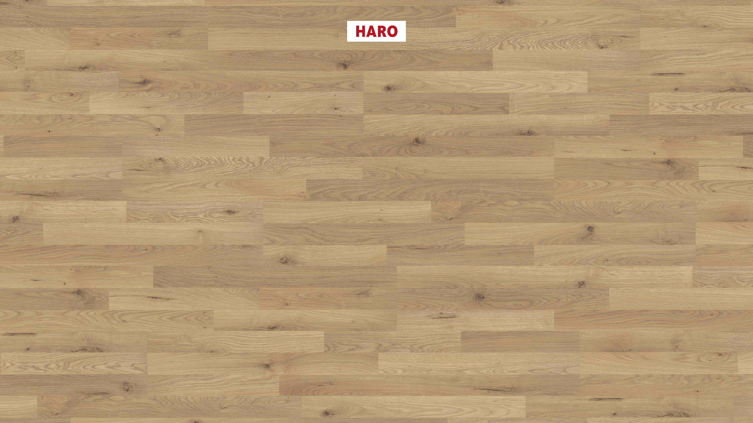 HARO Laminate Floor Special Edition NKL31 3-Strip Holm Oak* textured matt Silent Pro Top Connect