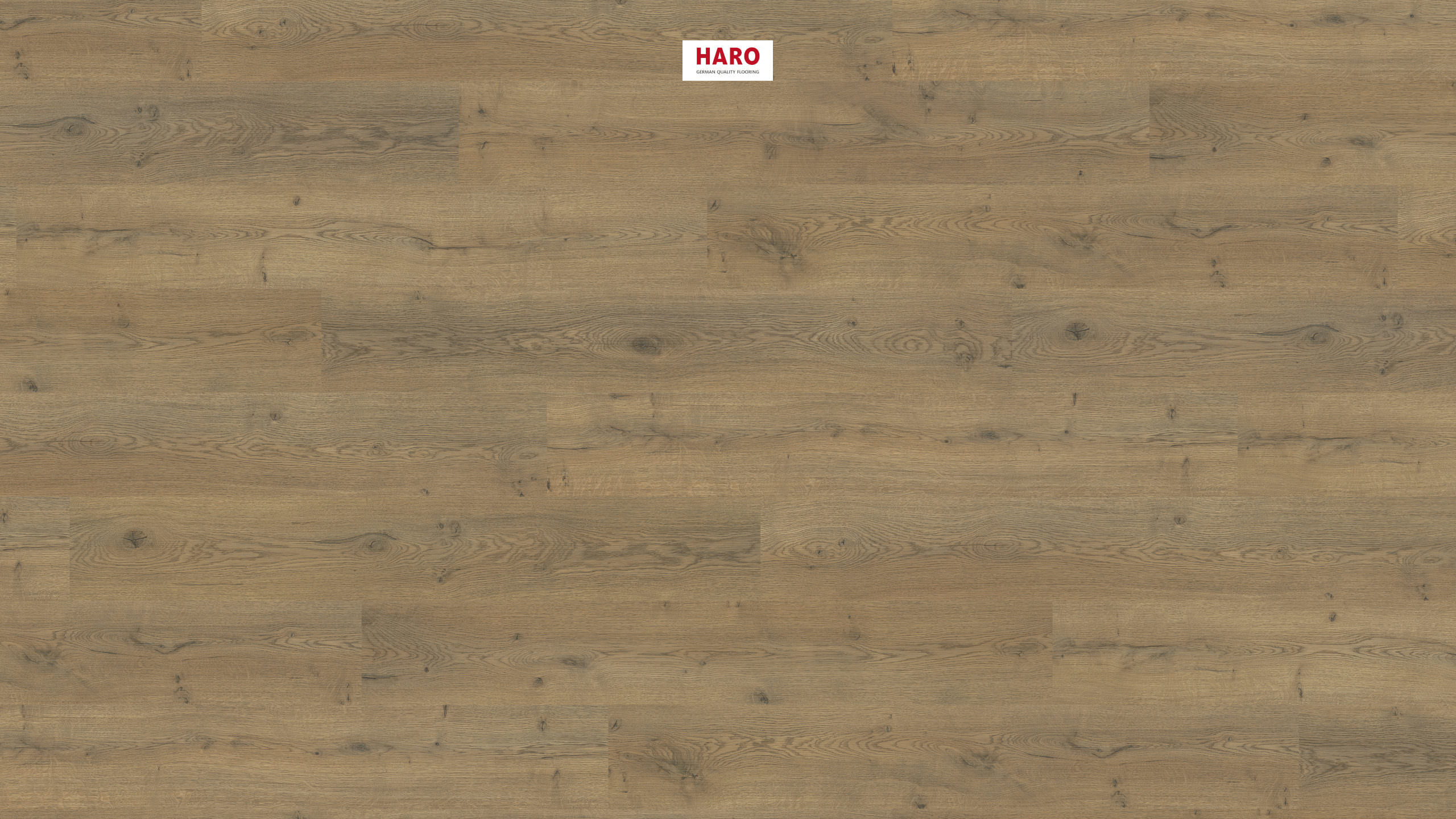 HARO Laminate Floor Special Edition NKL31 Plank 1-Strip Oak Lombardia* textured matt Top Connect