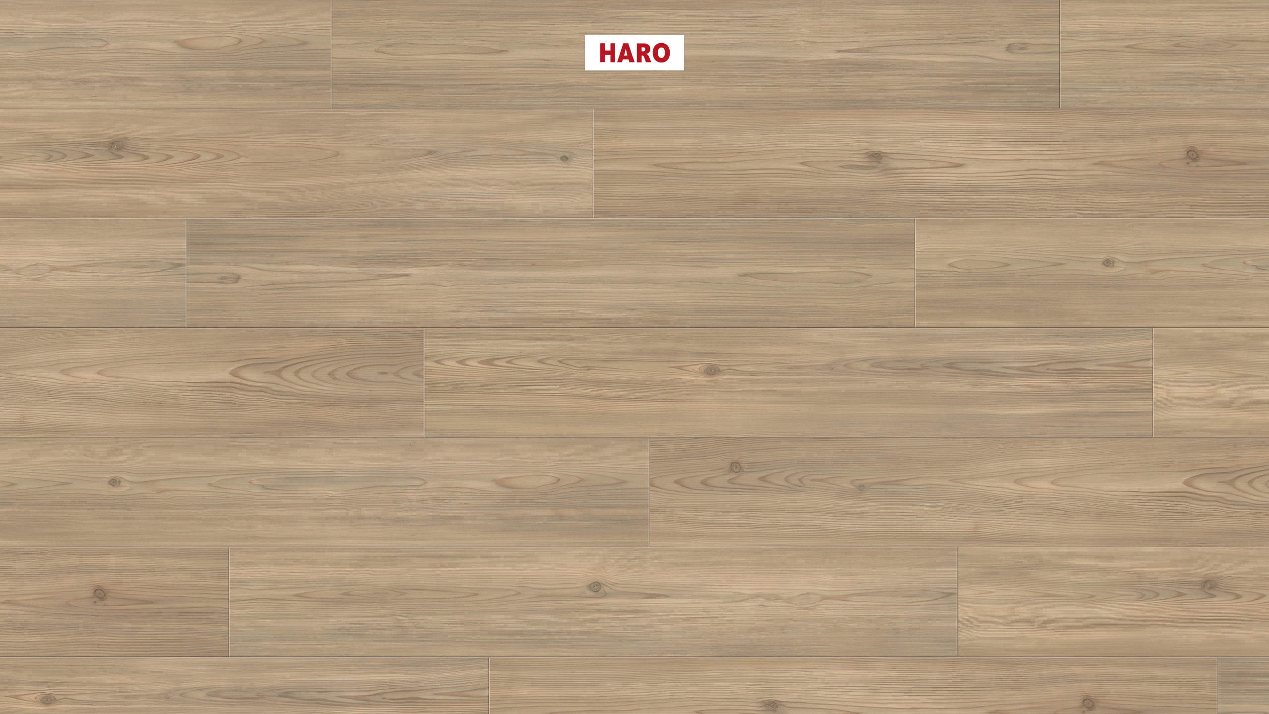 HARO Laminate Floor TRITTY 90 Plank 1-Strip 4V Pine Florence* soft matt Silent Pro Top Connect
