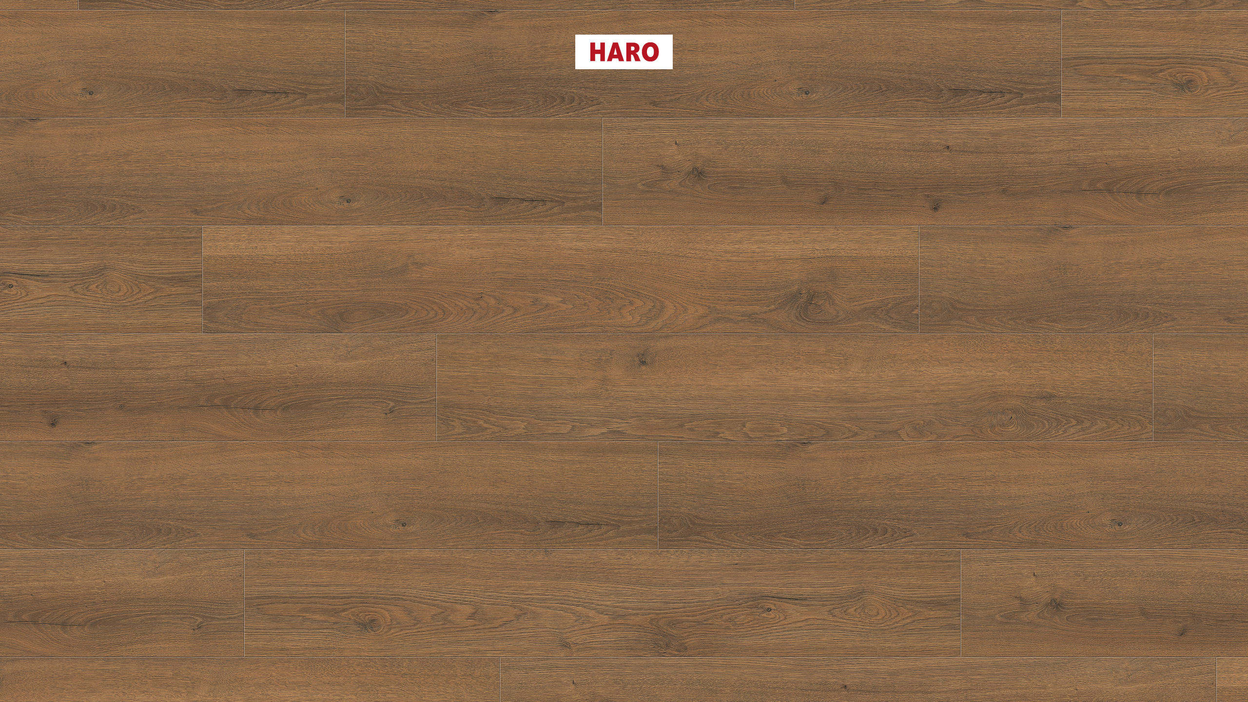 HARO Laminate Floor TRITTY 100 Plank 1-Strip 4V Oak Flavia Smoked* authentic Top Connect