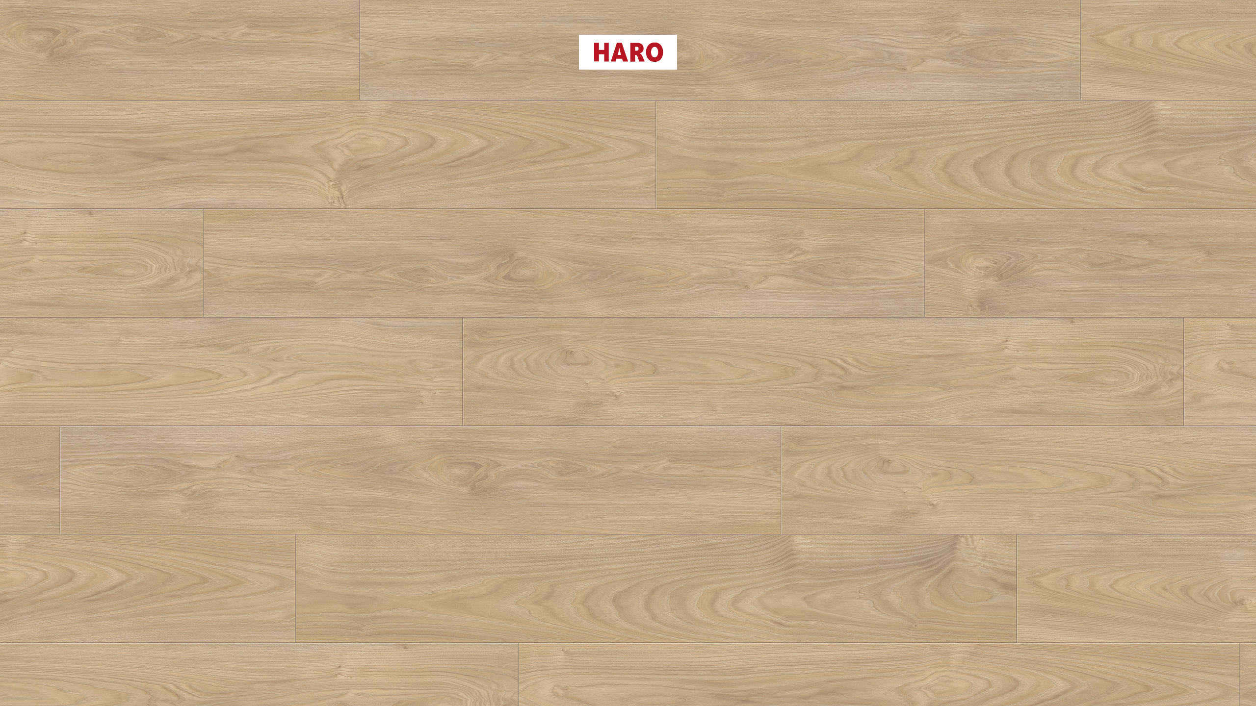 HARO Laminate Floor TRITTY 100 Plank 1-Strip 4V Silver Maple Vario* authentic soft Silent CT Top Connect