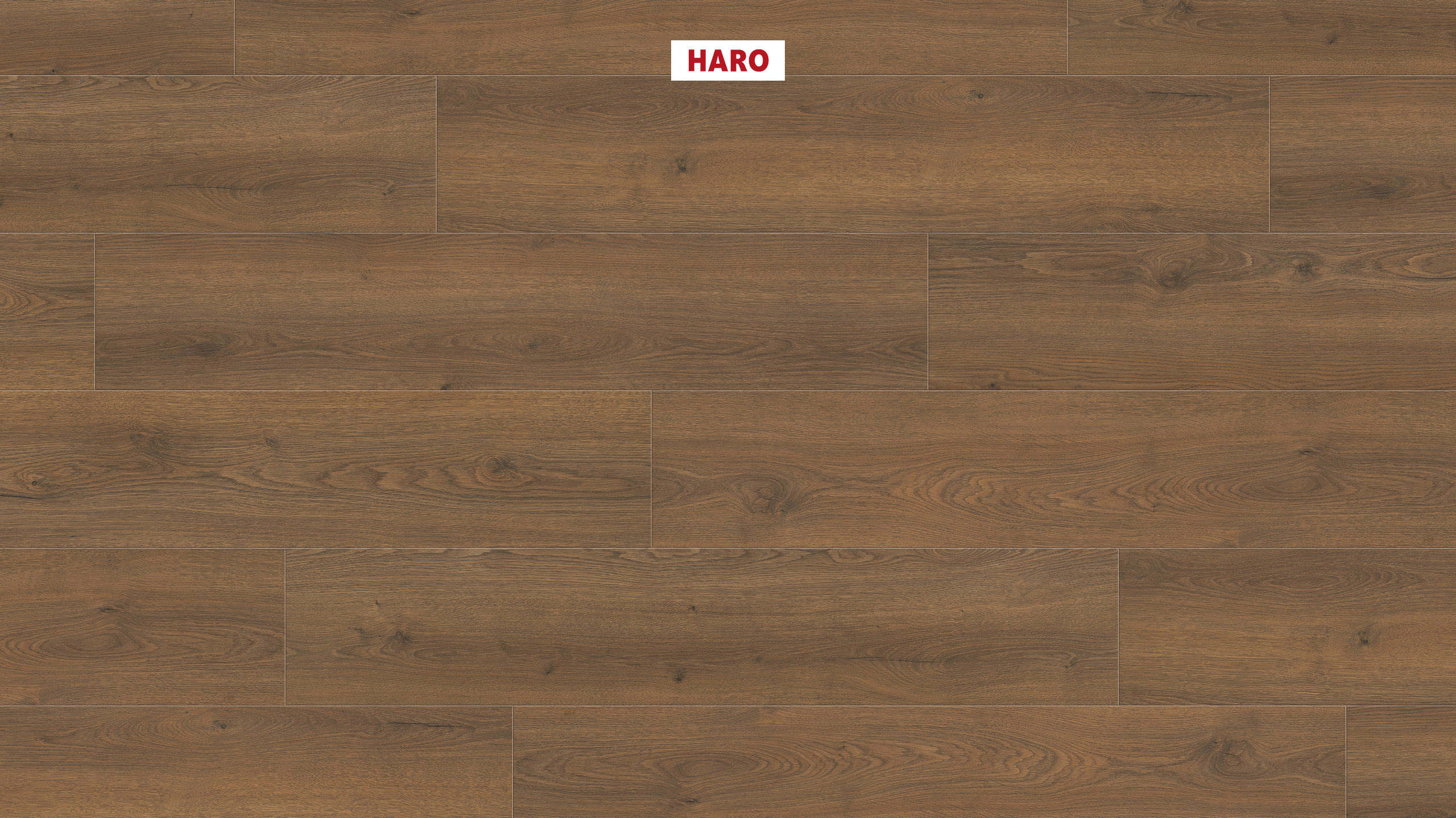 HARO Laminate Floor TRITTY 100 Campus 4V Oak Flavia Smoked* authentic Top Connect