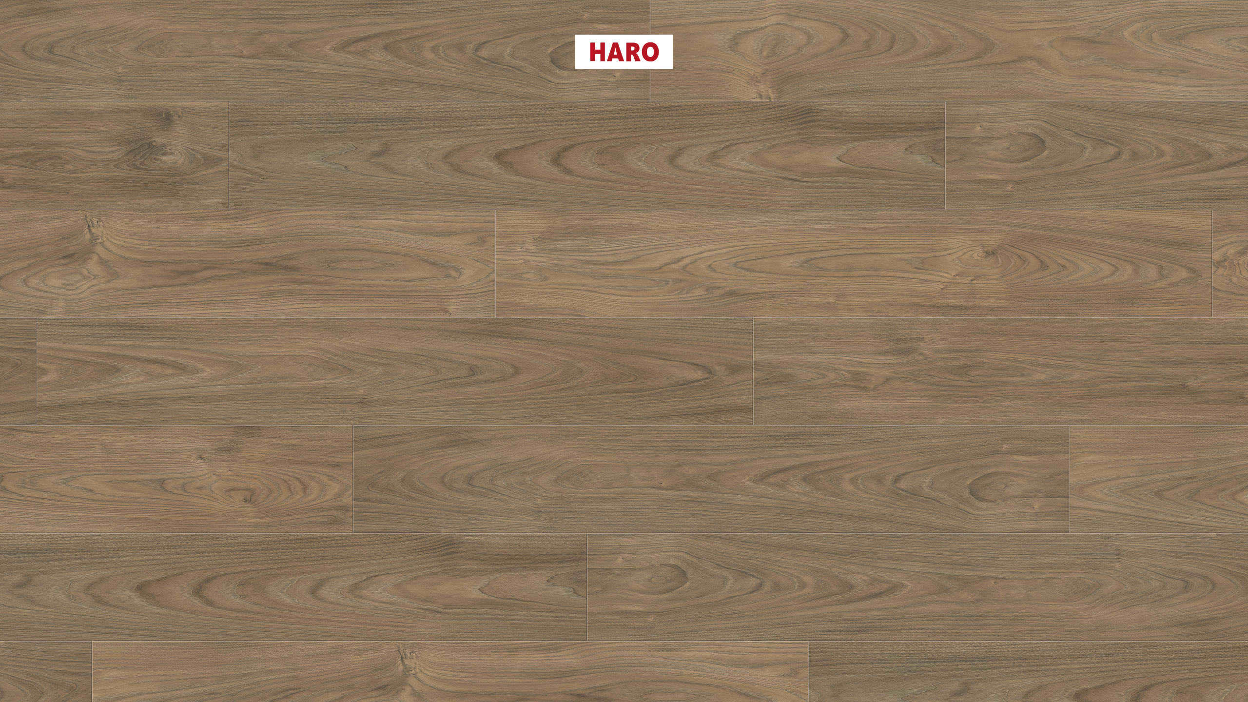 HARO Laminate Floor TRITTY 200 Aqua Plank 1-Strip 4V Elm Vario* authentic soft Top Connect