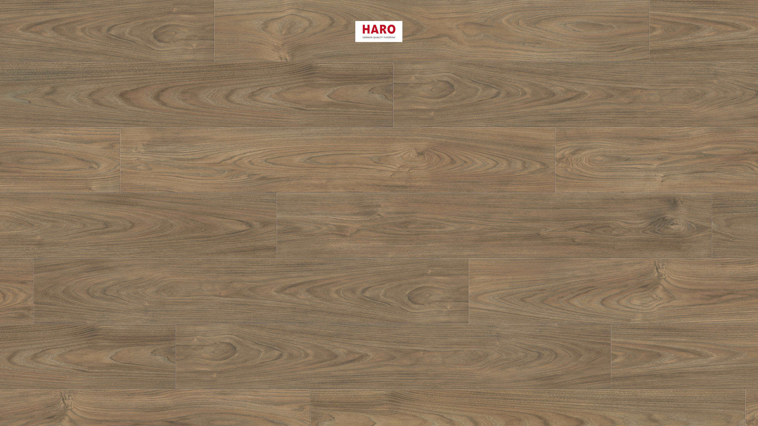 HARO Laminate Floor TRITTY 200 Aqua Plank 1-Strip 4V Elm Vario* authentic soft Silent CT Top Connect
