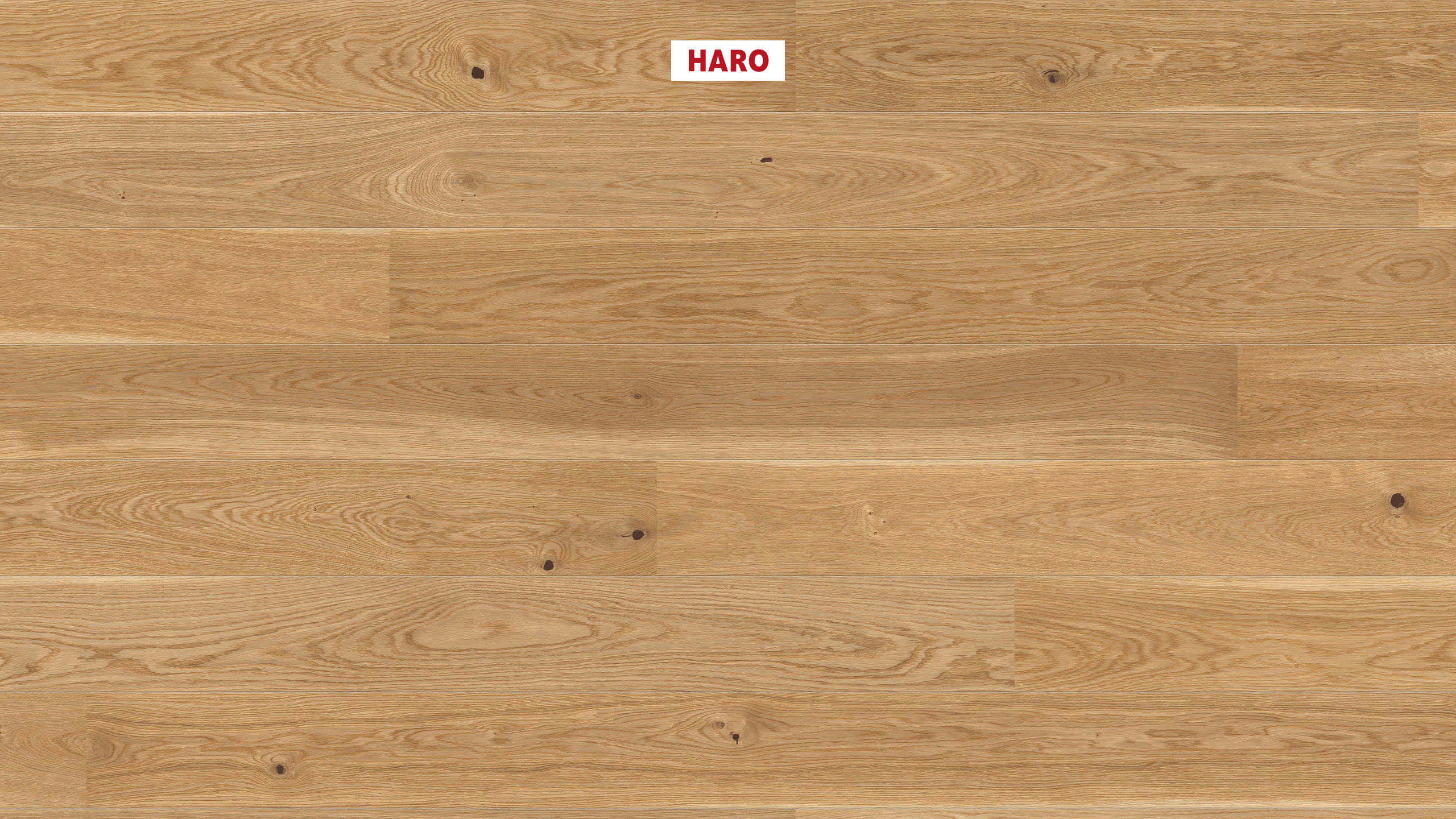 HARO PARQUET 12 mm Plank 1-Strip 2V Oak Stuttgart brushed naturaLin plus Top Connect