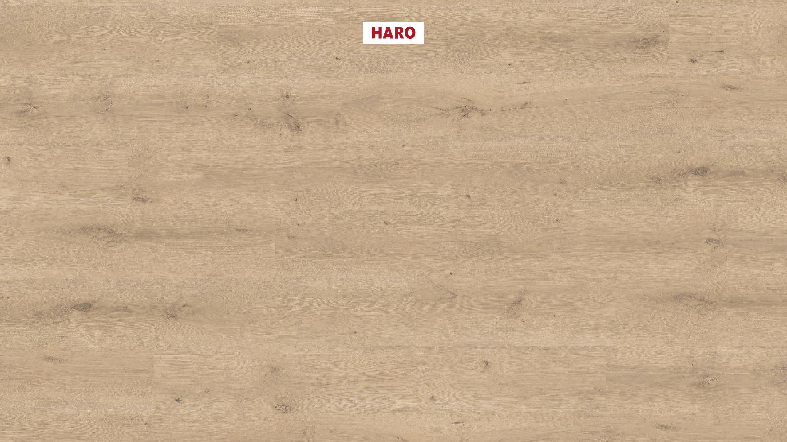 HARO Laminate Floor 7 mm Plank 1-Strip Oak Bremen* textured Top Connect