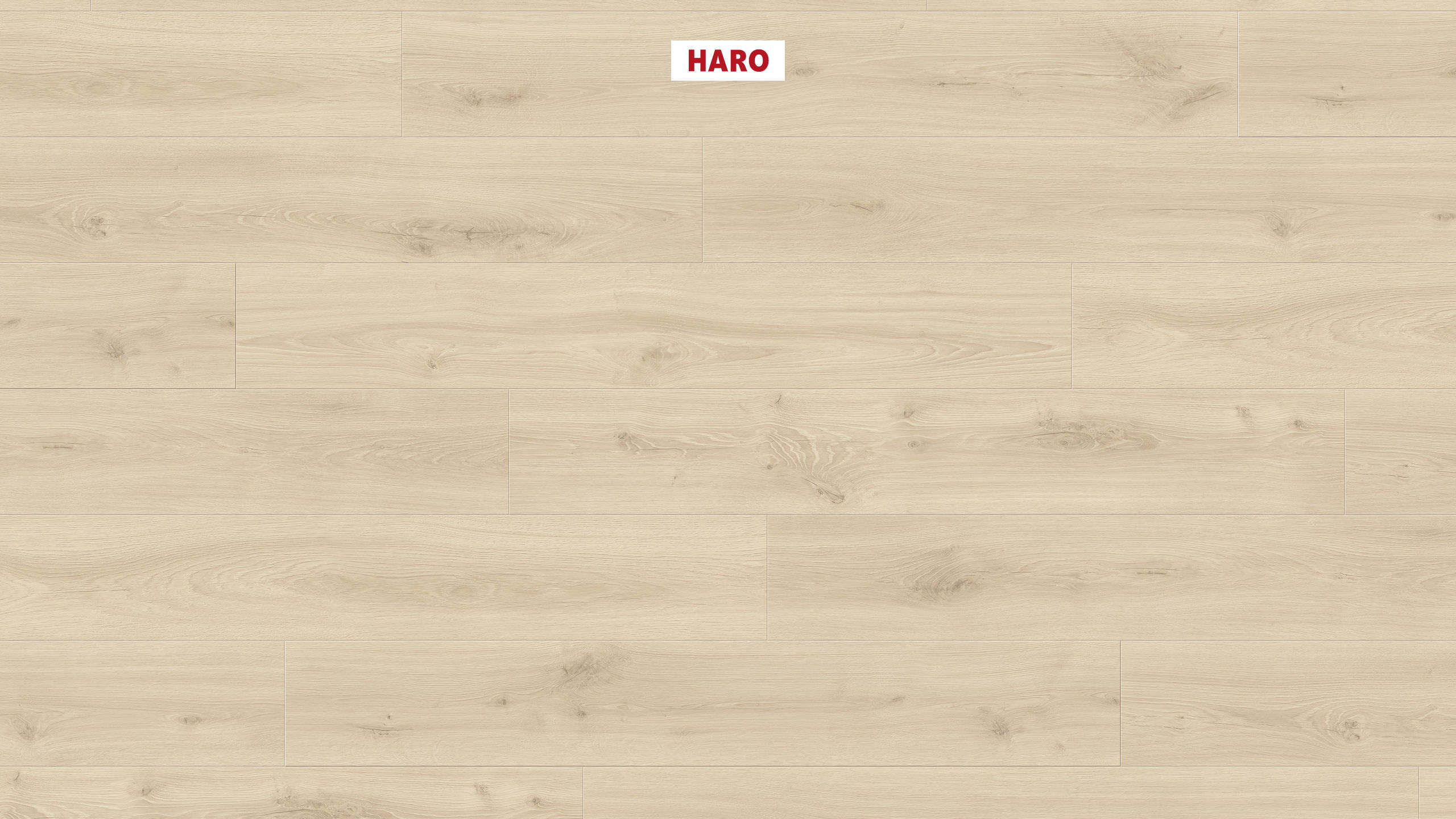 HARO Laminate Floor 8 mm Plank 1-Strip 4V Oak Hamburg* textured Top Connect