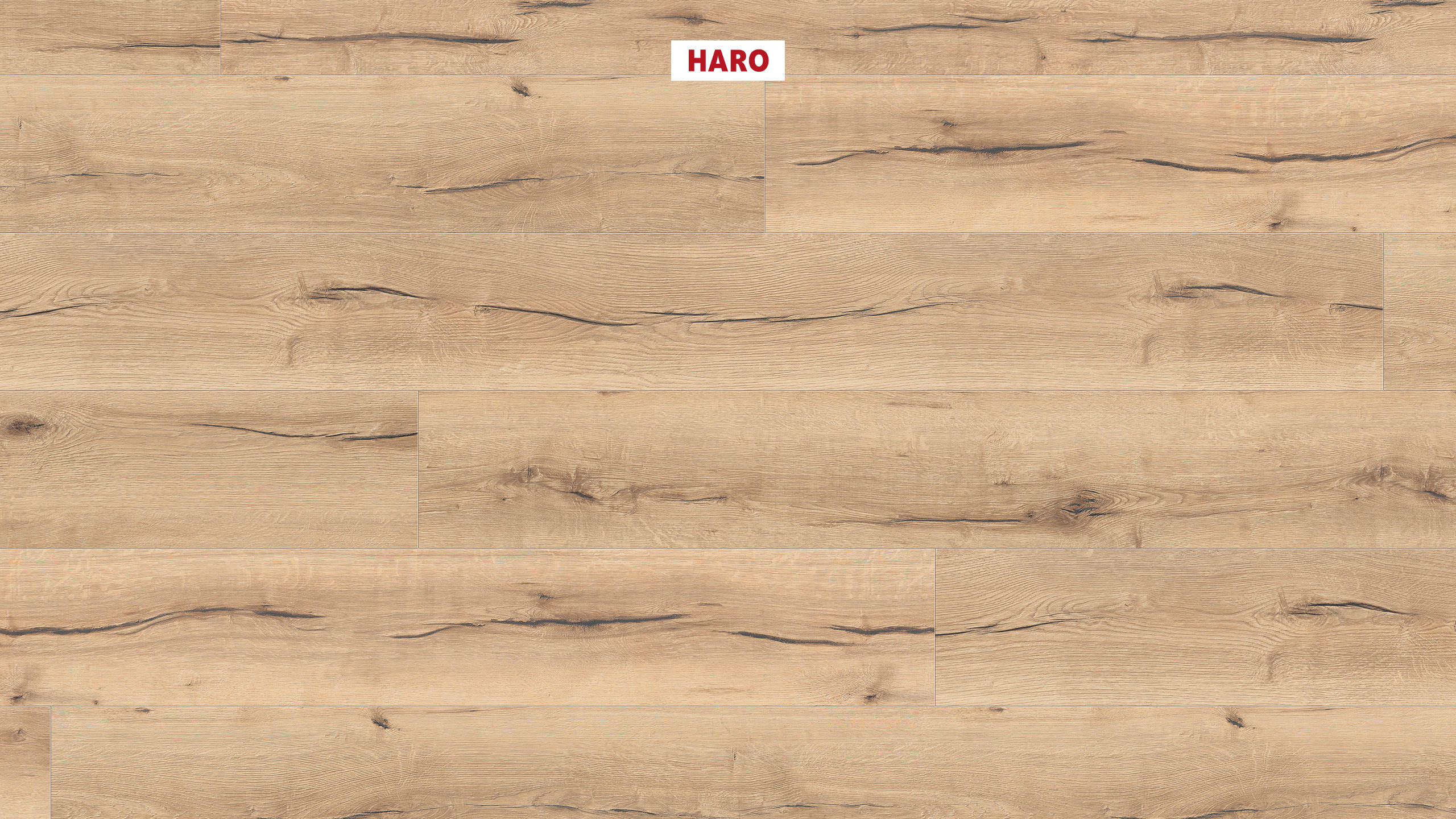 HARO Laminate Floor 8 mm Gran Via XL 4V Oak Flensburg* authentic Top Connect