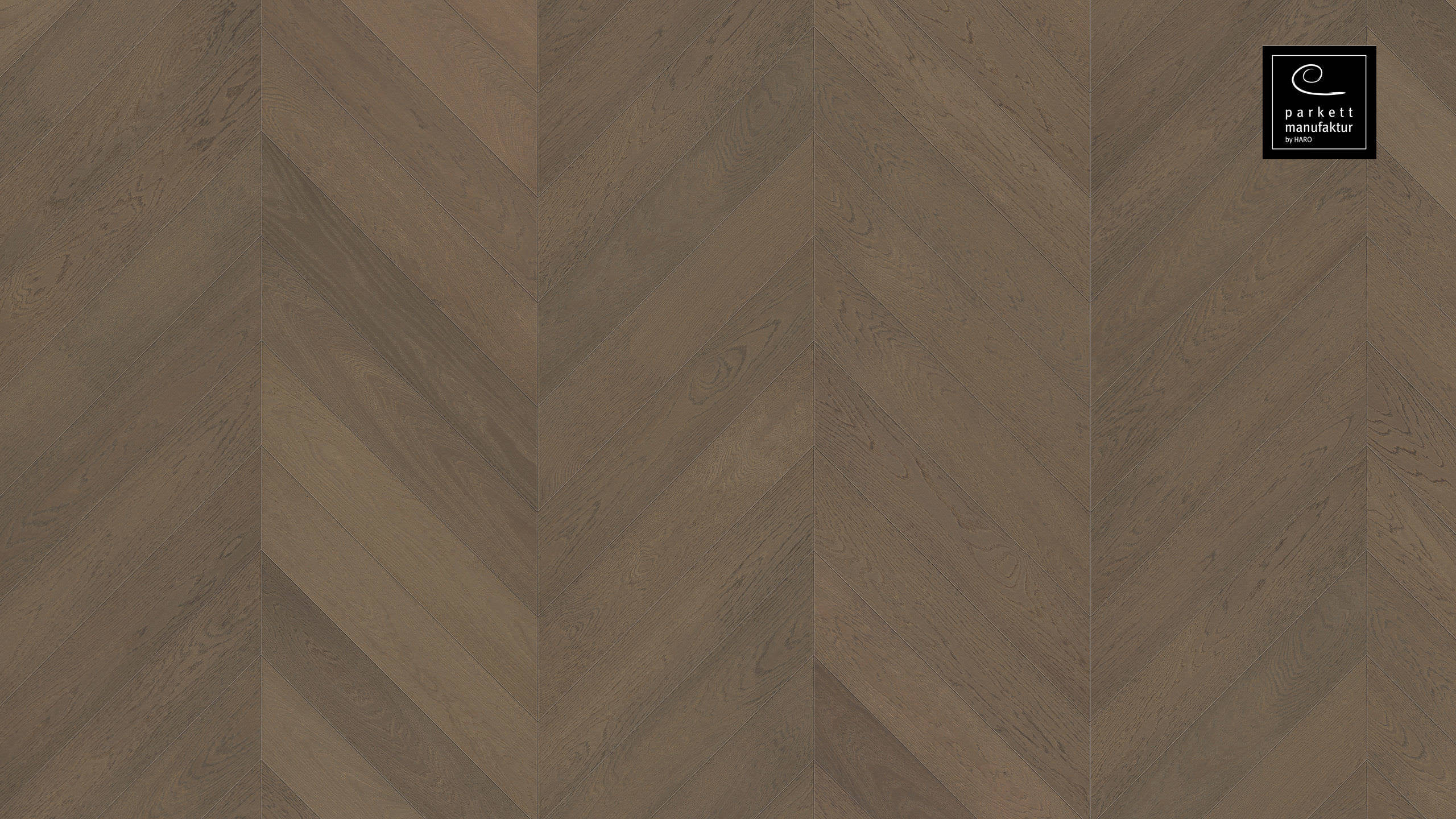 parkettmanufaktur by HARO Chevron 4V Oak Graphite Grey Selectiv brushed oleovera Tongue and Groove