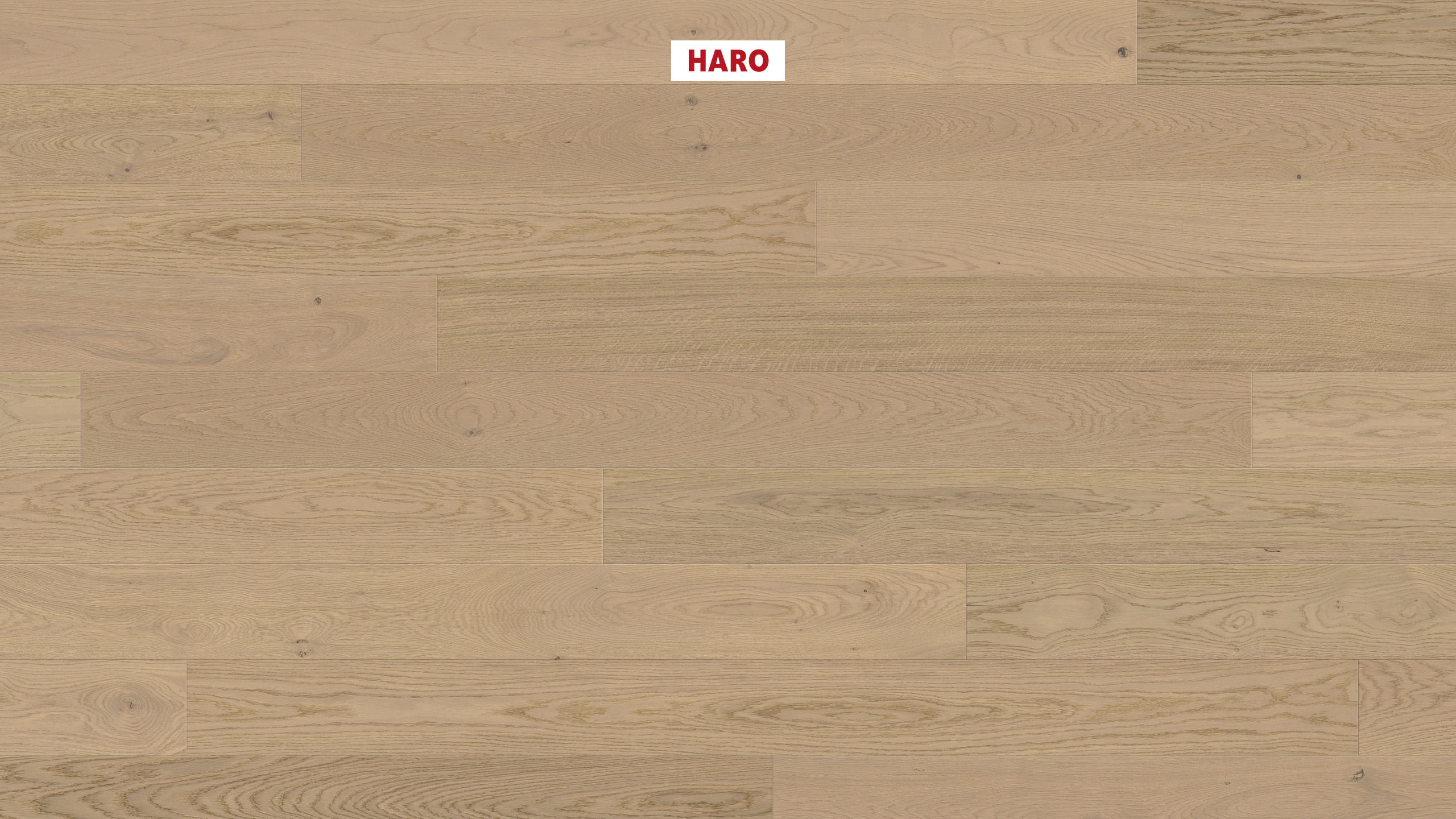 HARO PARQUET 4000 Plank 1-Strip 180 4V Oak Sand Grey Markant brushed naturaDur Top Connect