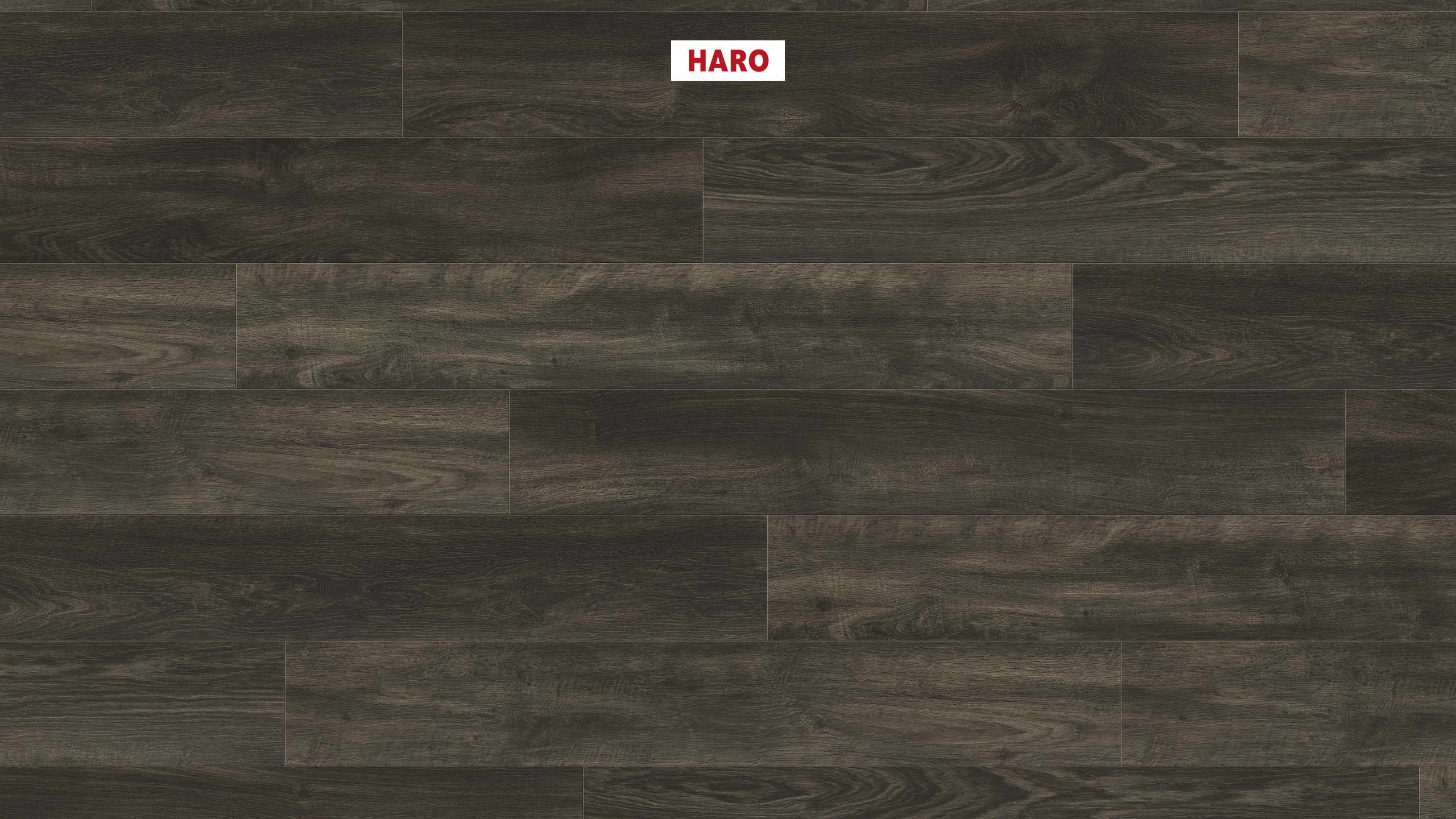 DISANO by HARO WaveAqua Plank 1-Strip 4V Oak Whistler basalt* authentic Top Connect