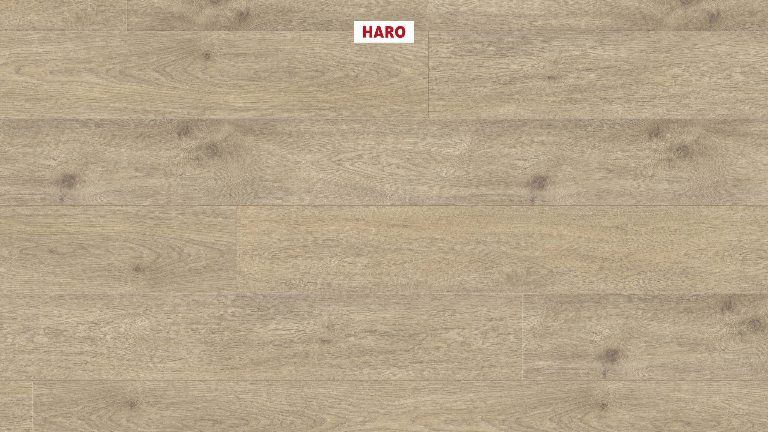 DISANO by HARO WaveAqua Plank 1-Strip XL 4V Oak Whistler Pebble Grey* authentic Top Connect