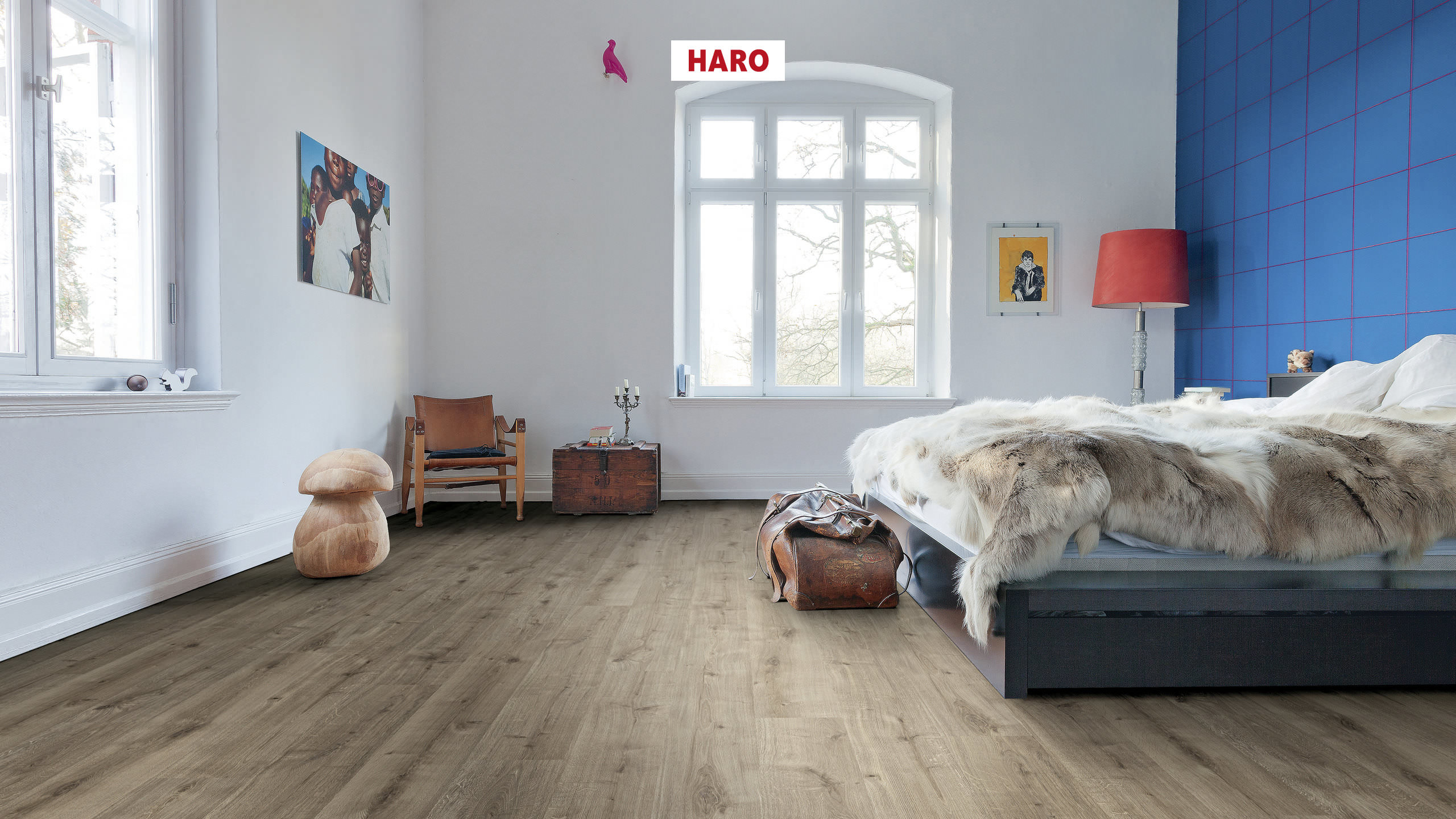HARO Laminate Floor Special Edition NKL32 Plank 1-Strip 4V Oak Calla Puro* textured Silent Pro Top Connect