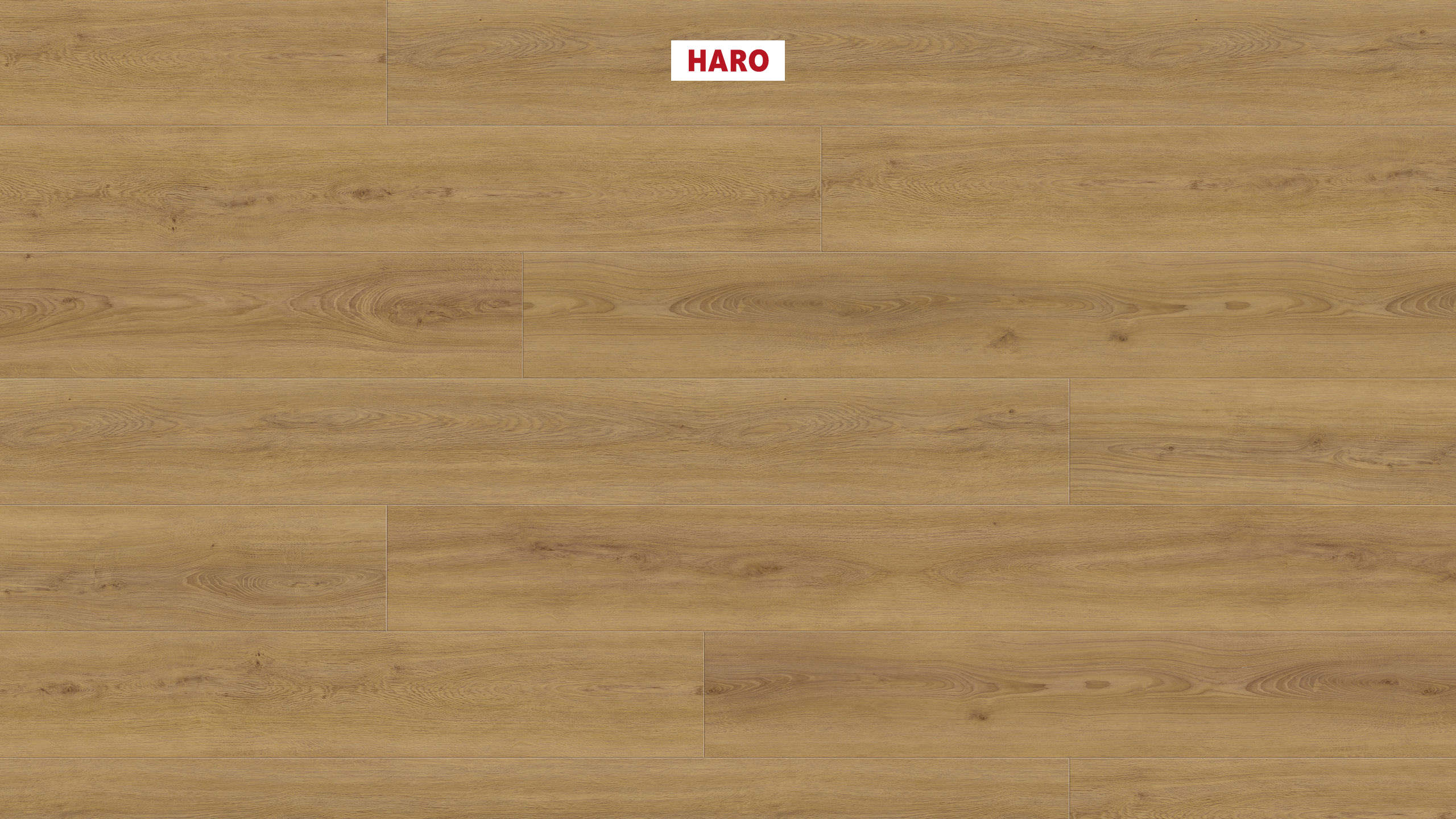 DISANO by HARO ClassicAqua Plank 1-Strip XL 4V Oak Sheffield Honey* authentic Top Connect