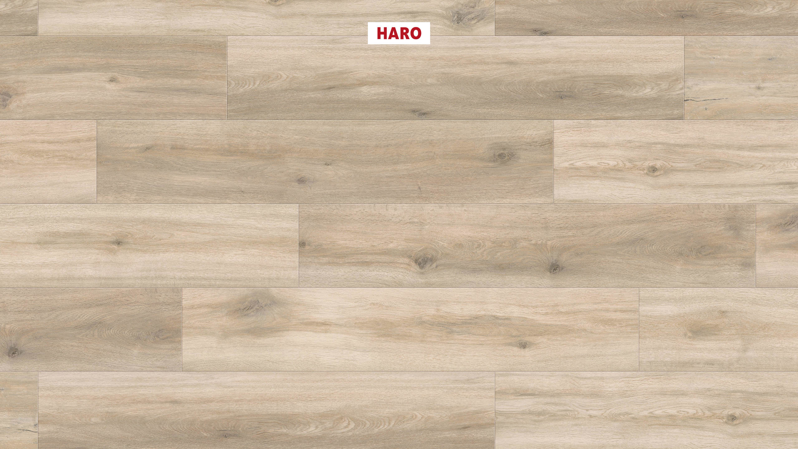 DISANO by HARO LifeAqua Plank 1-Strip 4V Oak Provence Creme* authentic Top Connect