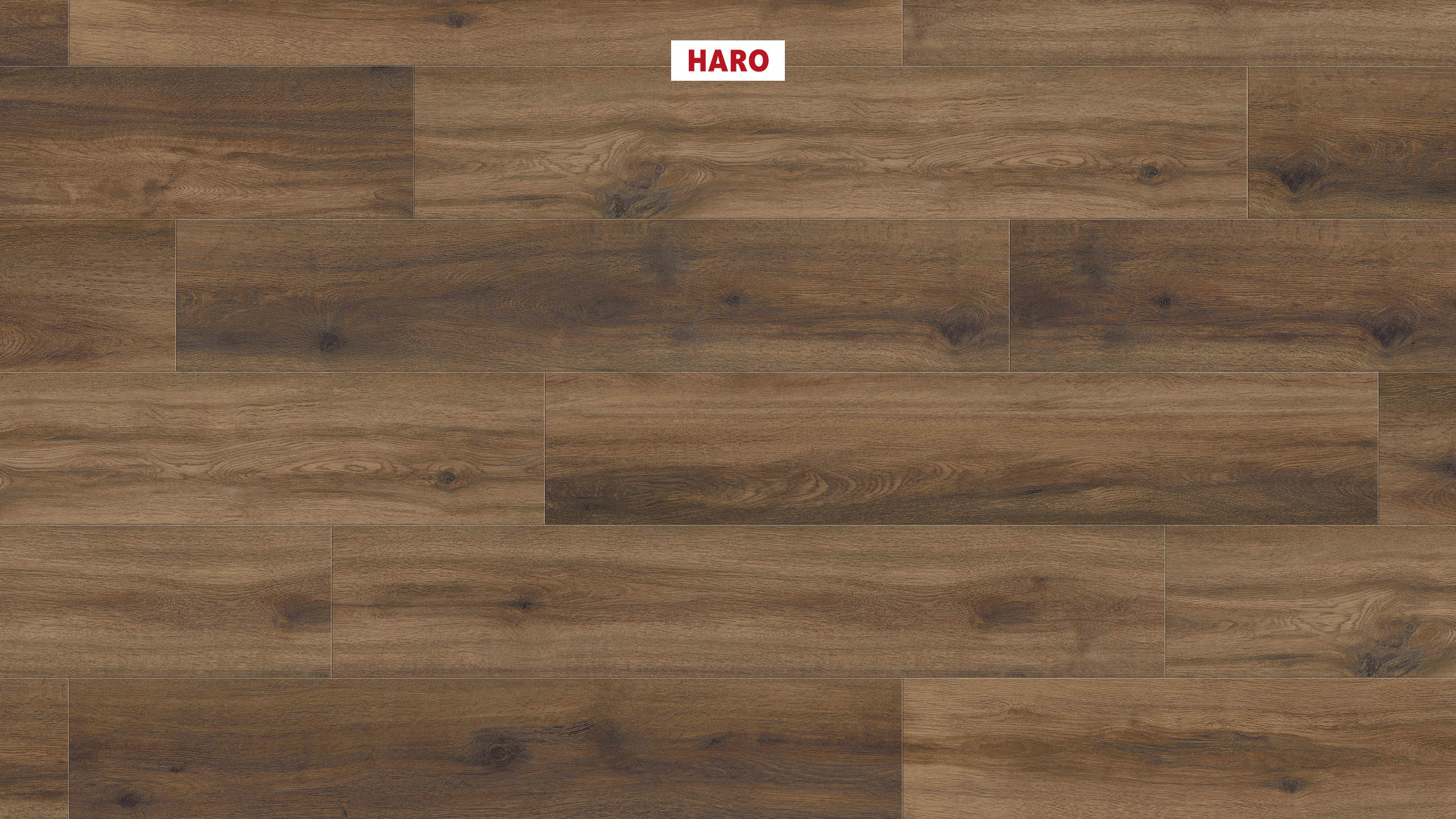 DISANO by HARO LifeAqua Plank 1-Strip 4V Oak Provence Chocolate Brown* authentic Top Connect