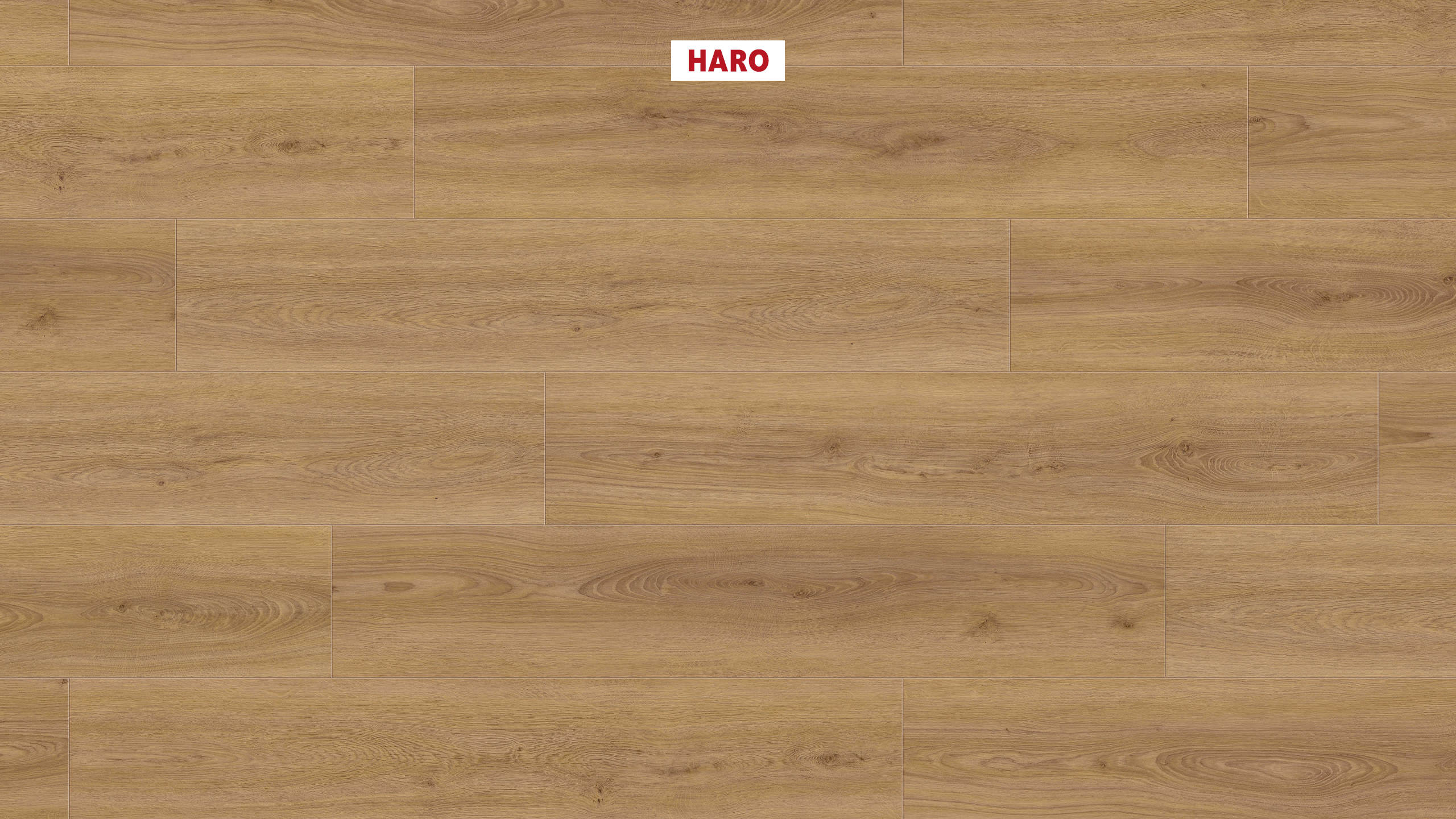 DISANO by HARO LifeAqua Plank 1-Strip 4V Oak Sheffield Honey* authentic Top Connect