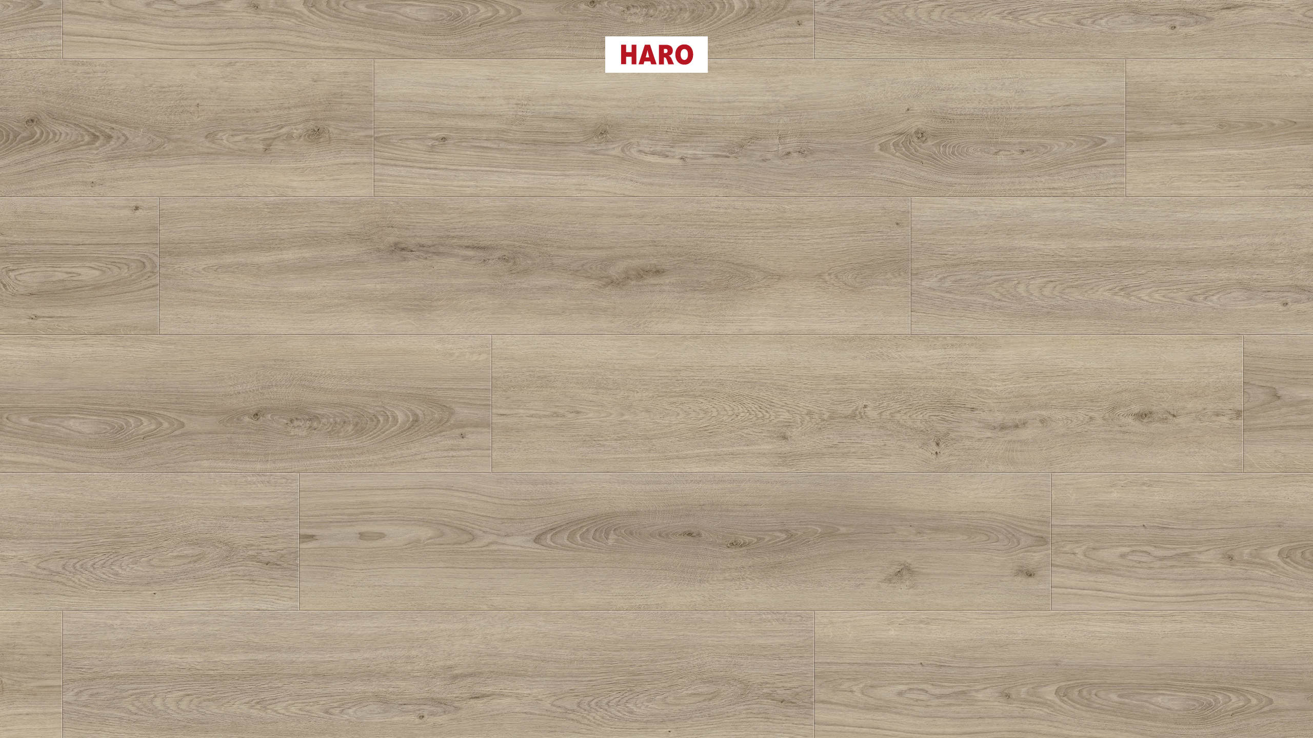 DISANO by HARO LifeAqua Plank 1-Strip 4V Oak Sheffield Grey Brown* authentic Top Connect