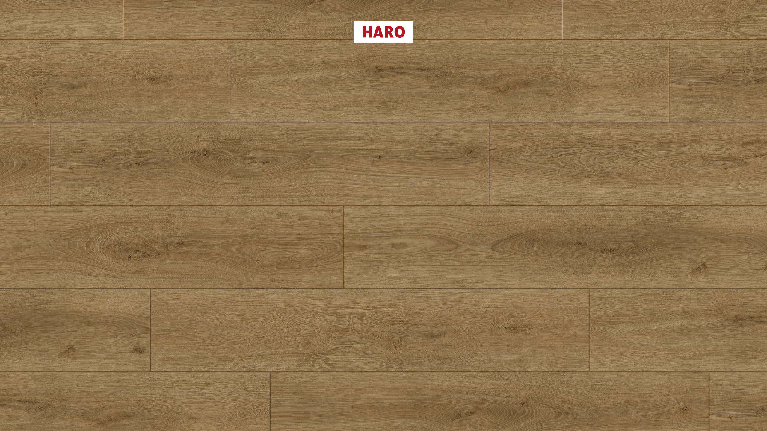 DISANO by HARO LifeAqua Plank 1-Strip 4V Oak Sheffield Nature* authentic Top Connect