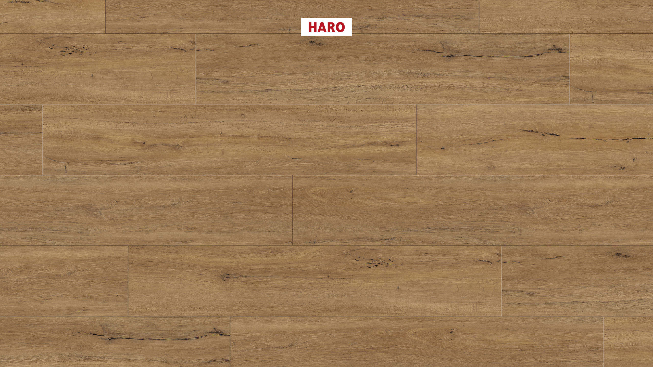 DISANO by HARO LifeAqua Plank 1-Strip 4V Oak Columbia Nature* textured Top Connect