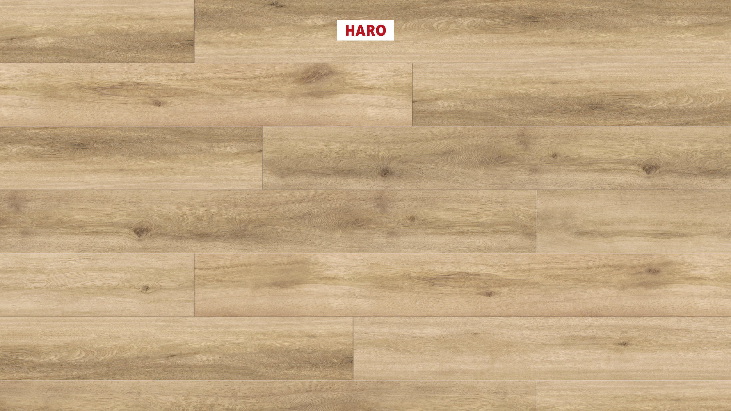 DISANO by HARO LifeAqua Plank 1-Strip XL 4V Oak Provence Puro* authentic Top Connect