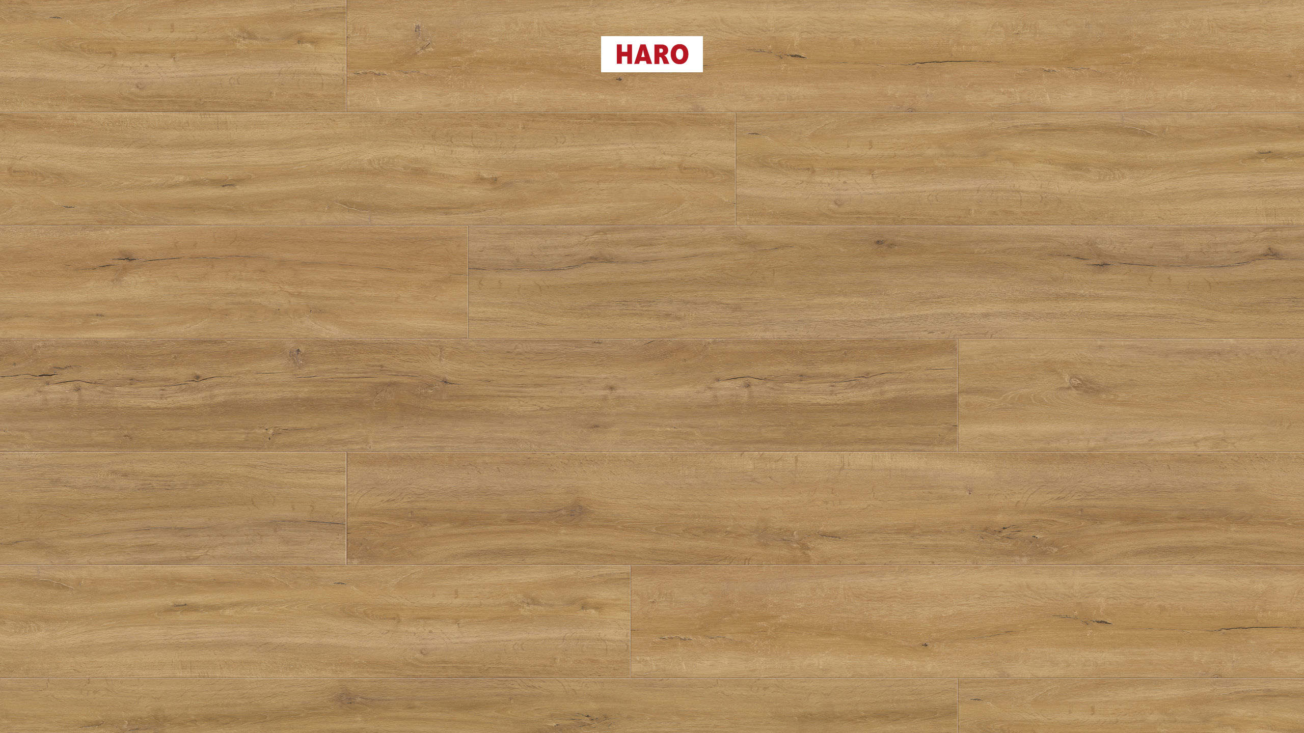 DISANO by HARO LifeAqua Plank 1-Strip XL 4V Oak Columbia Nature* textured Top Connect